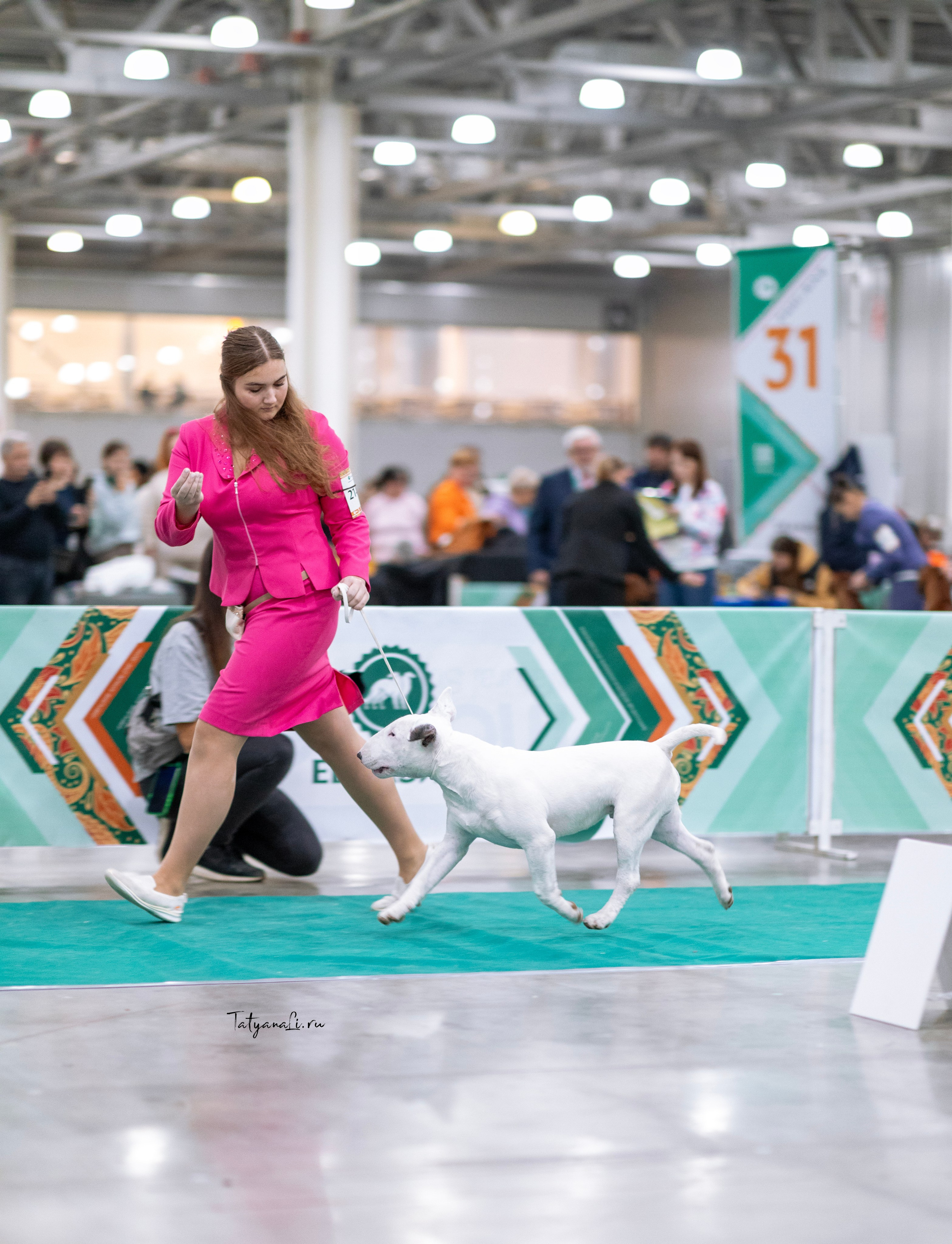 Евразия. Фотограф — анималист Татьяна Ли