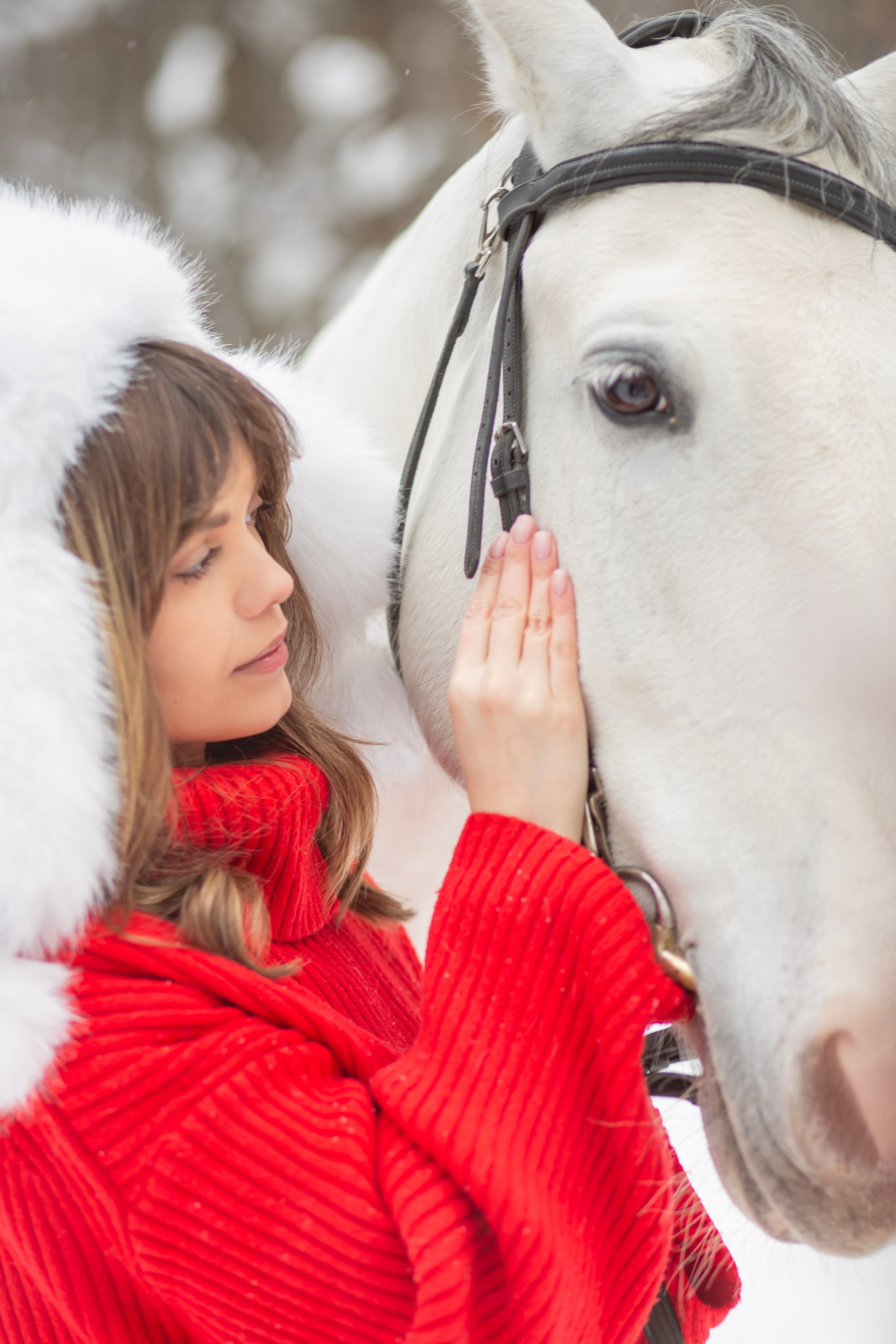 Год лошади. Семейный и детский фотограф в Москве и МО — Александра