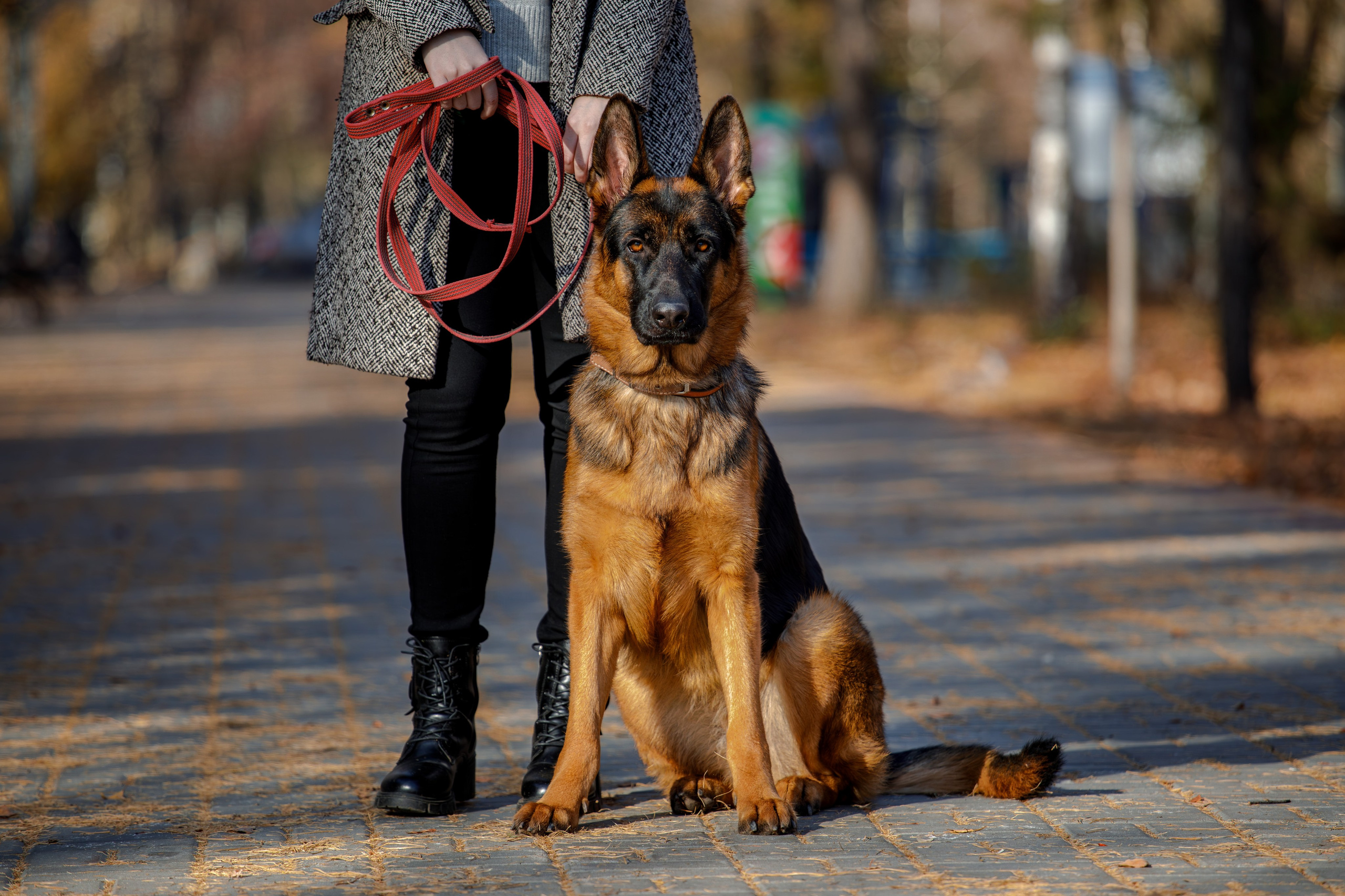 Ди и Джема. Фотограф Екатерина Козловская