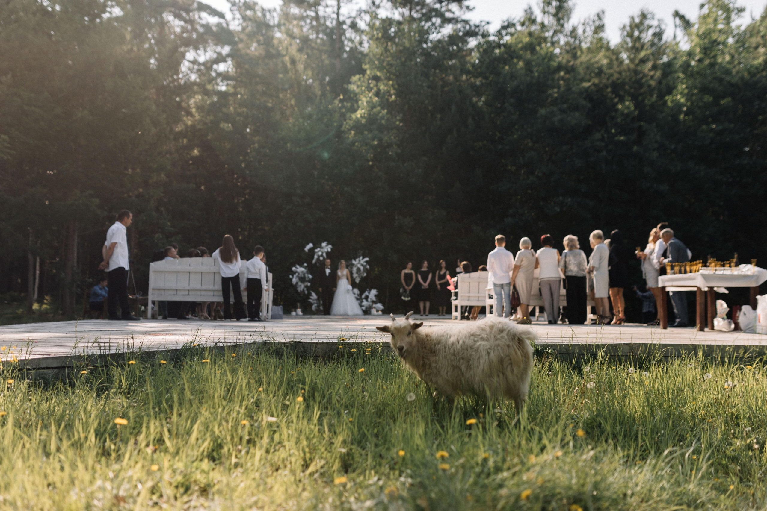 Свадьба Артема и Даши. Свадебный и семейный фотограф в Иркутске Яна Лиа