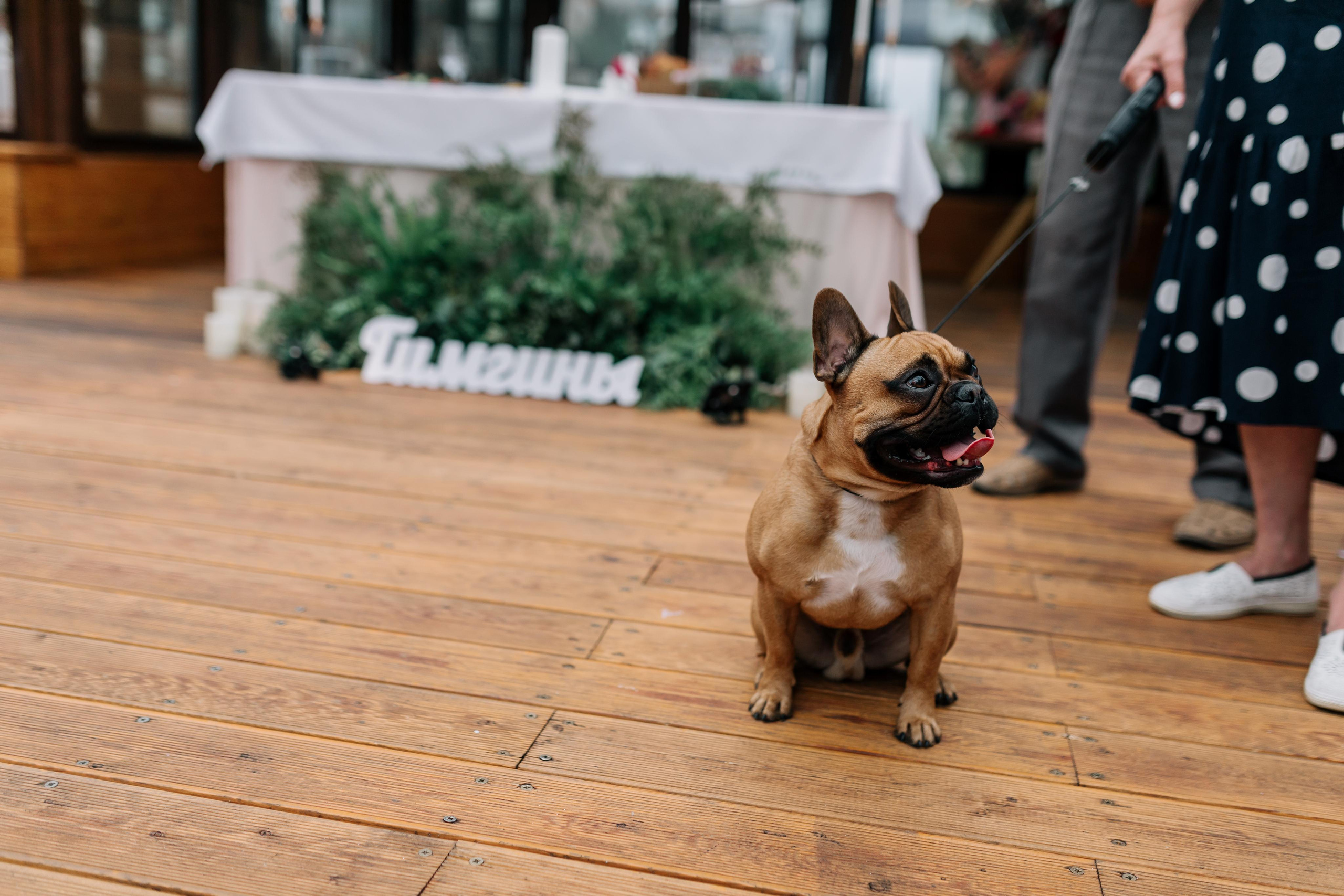 Алексей и Дарья. Свадебный и семейный фотограф в Иркутске Яна Лиа