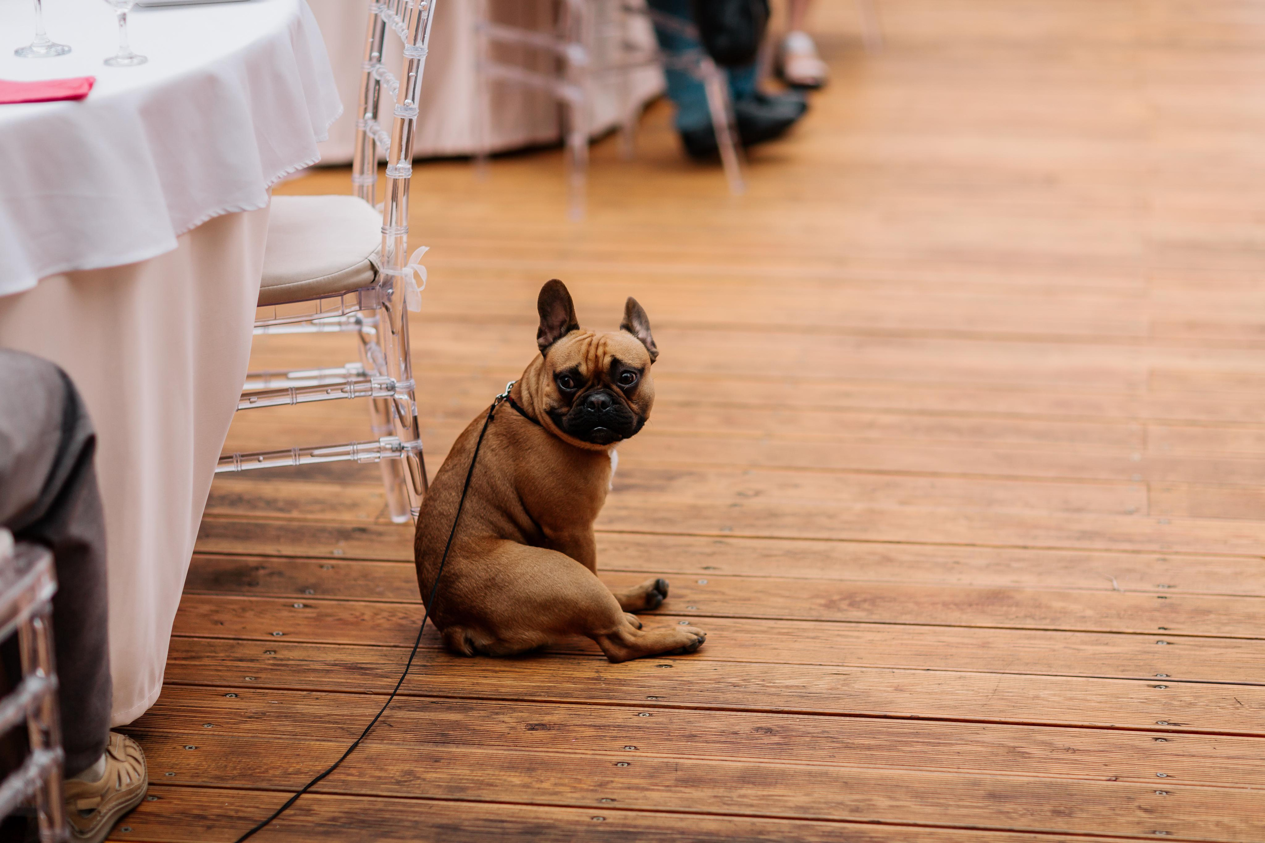 Алексей и Дарья. Свадебный и семейный фотограф в Иркутске Яна Лиа