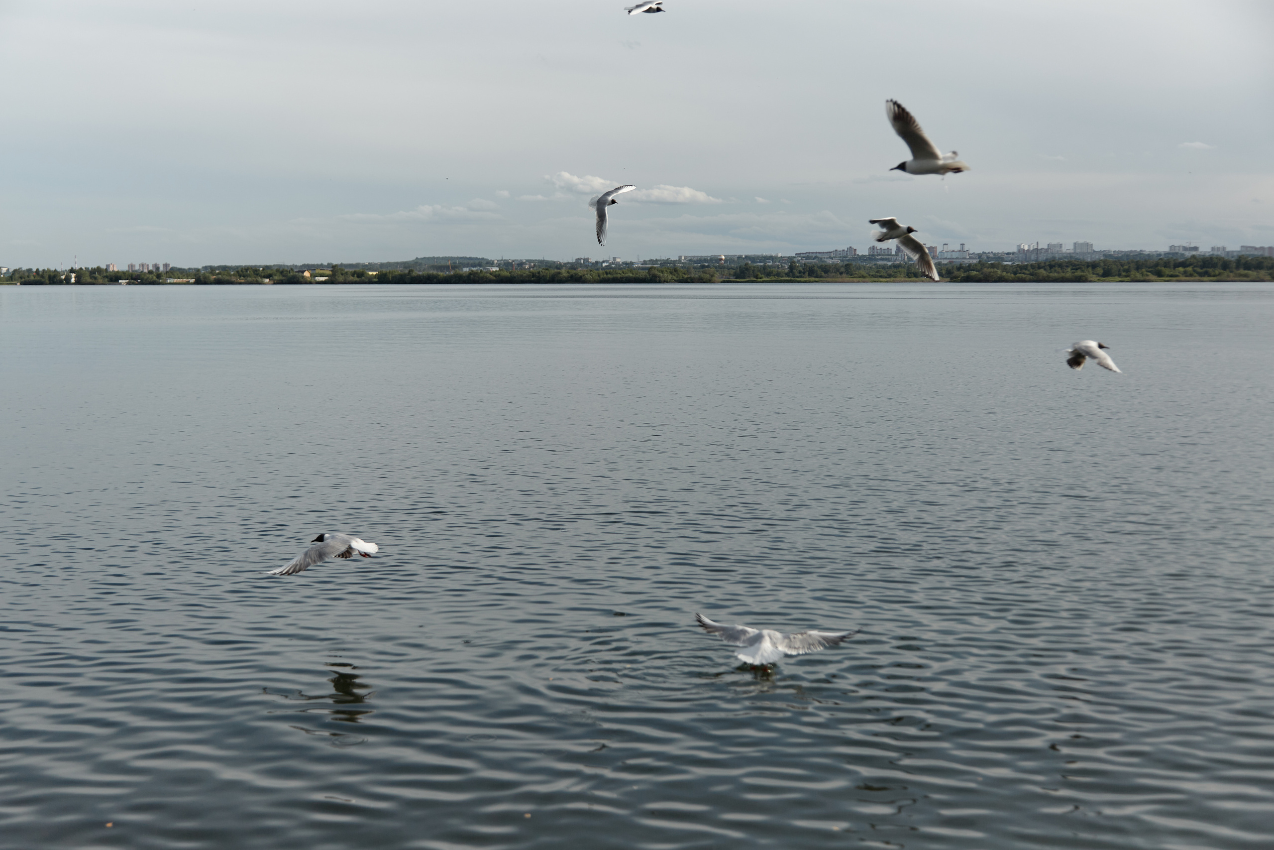 Свадьба Марии и Андрея. Свадебный и семейный фотограф в Иркутске Яна Лиа