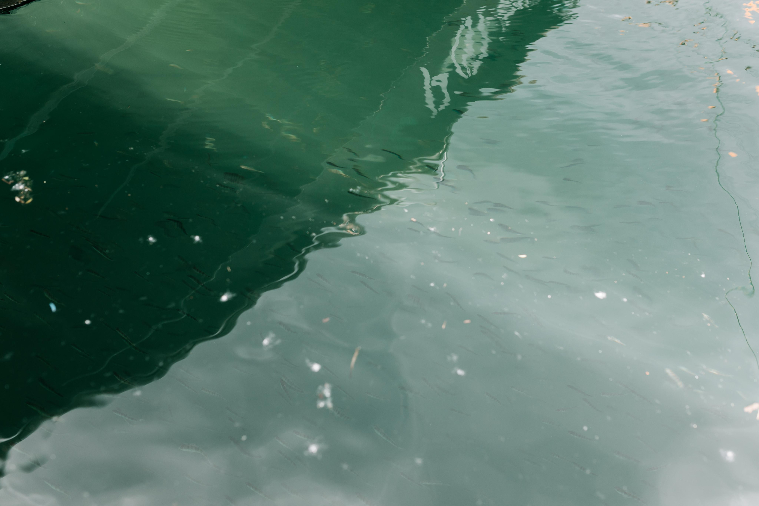 Влада и Александр. Свадебный и семейный фотограф в Иркутске Яна Лиа