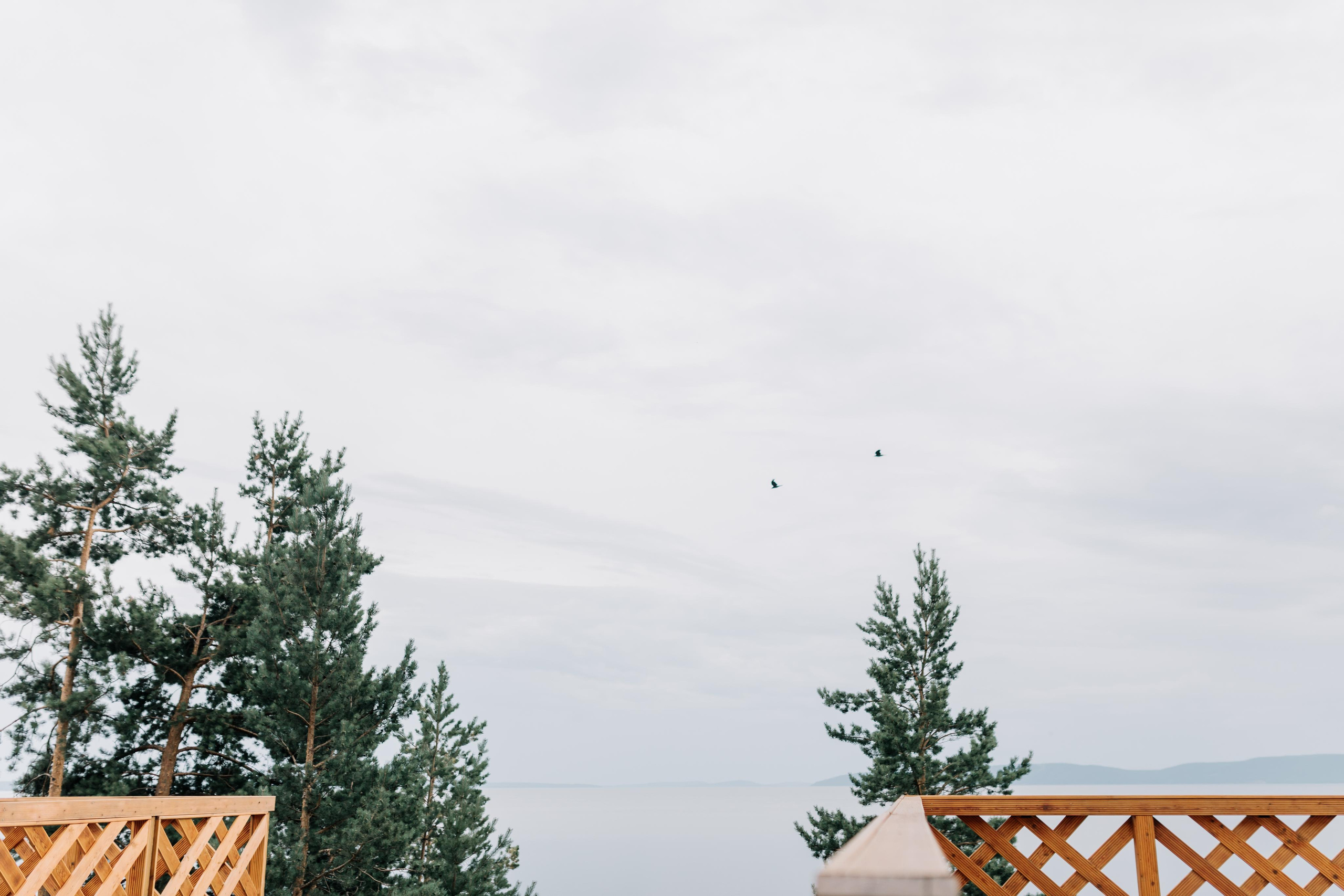 Алексей и Дарья. Свадебный и семейный фотограф в Иркутске Яна Лиа