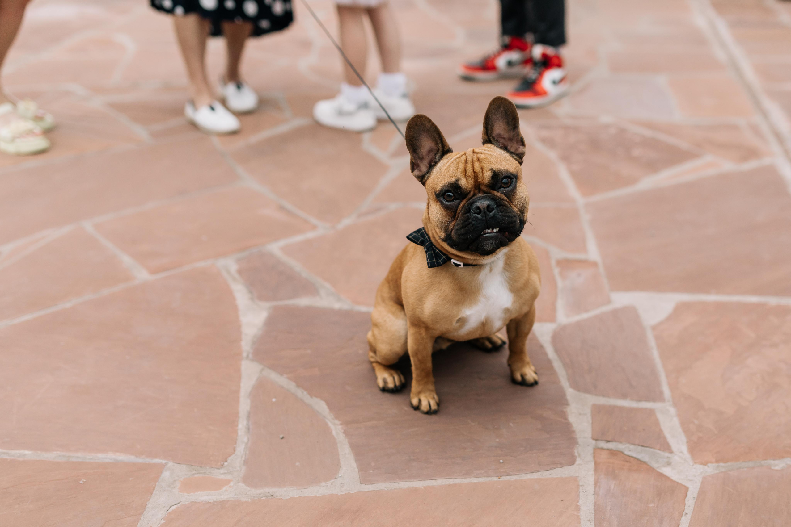 Алексей и Дарья. Свадебный и семейный фотограф в Иркутске Яна Лиа