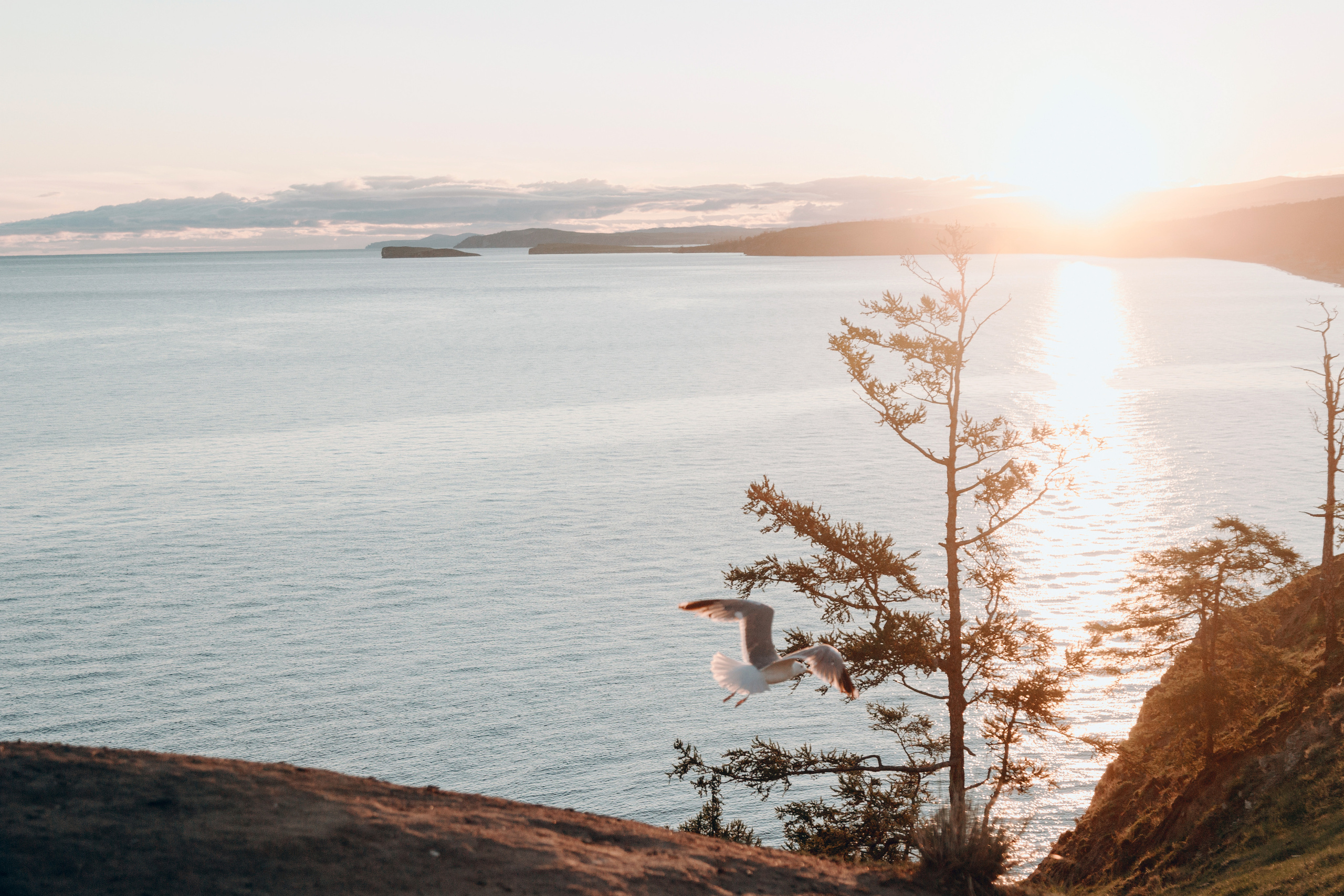 Диана и Илья. Свадебный и семейный фотограф в Иркутске Яна Лиа