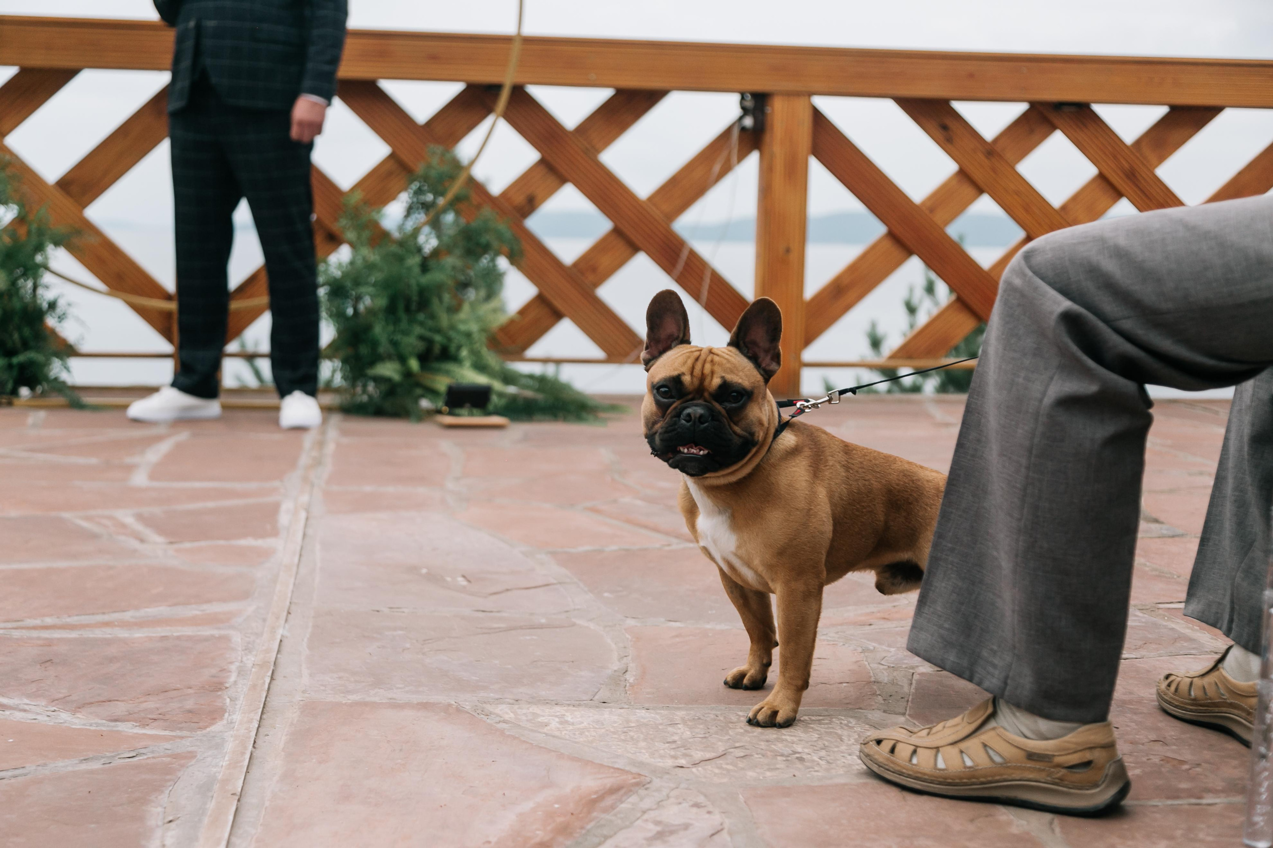 Алексей и Дарья. Свадебный и семейный фотограф в Иркутске Яна Лиа
