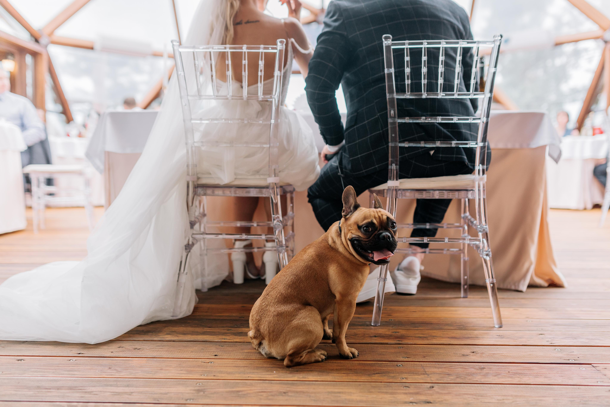 Алексей и Дарья. Свадебный и семейный фотограф в Иркутске Яна Лиа