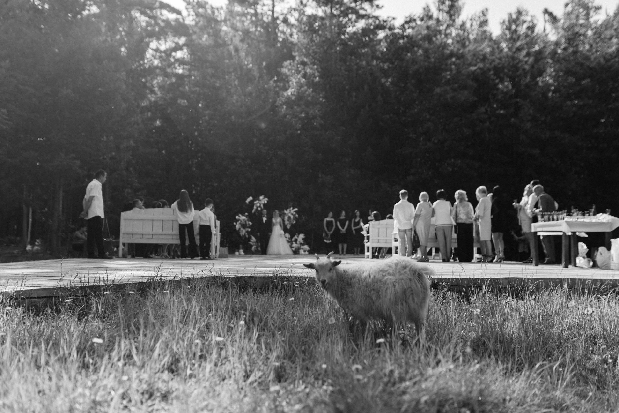 Свадьба Артема и Даши. Свадебный и семейный фотограф в Иркутске Яна Лиа