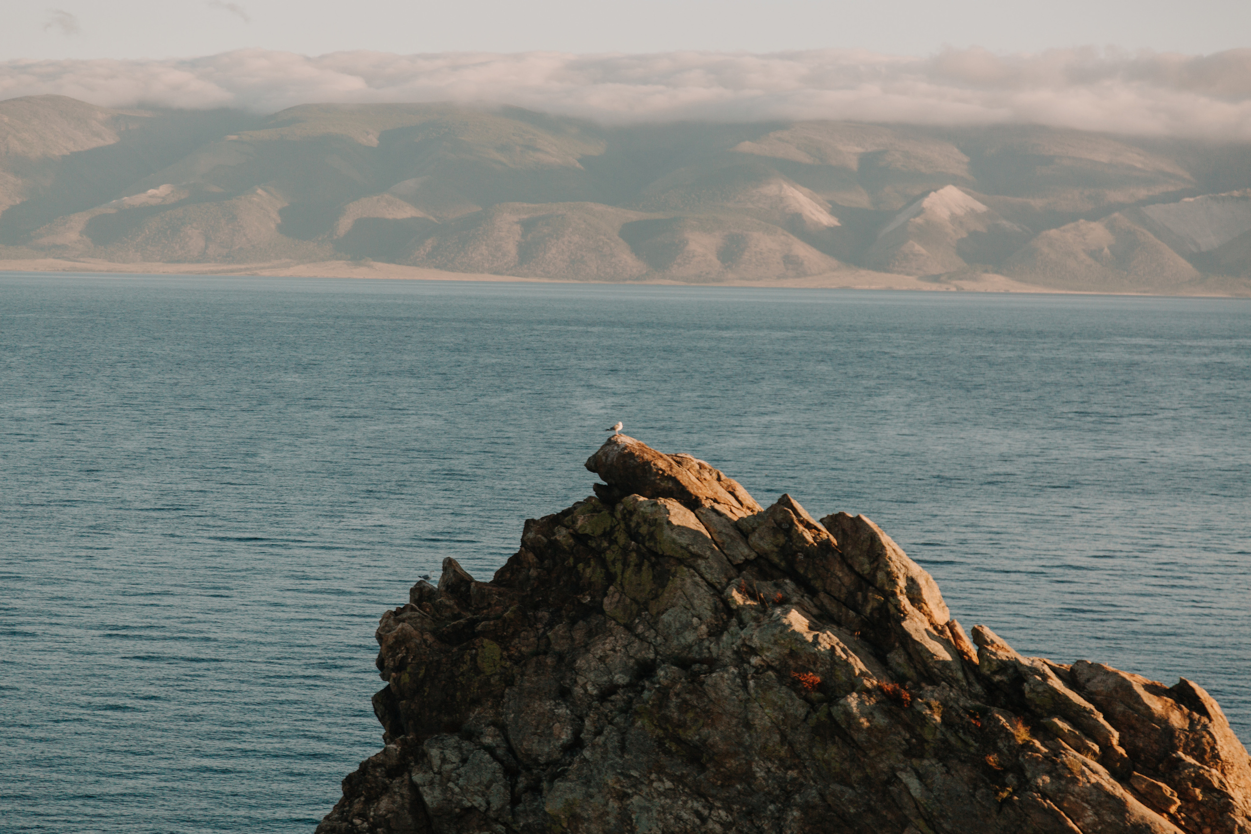 Диана и Илья. Свадебный и семейный фотограф в Иркутске Яна Лиа