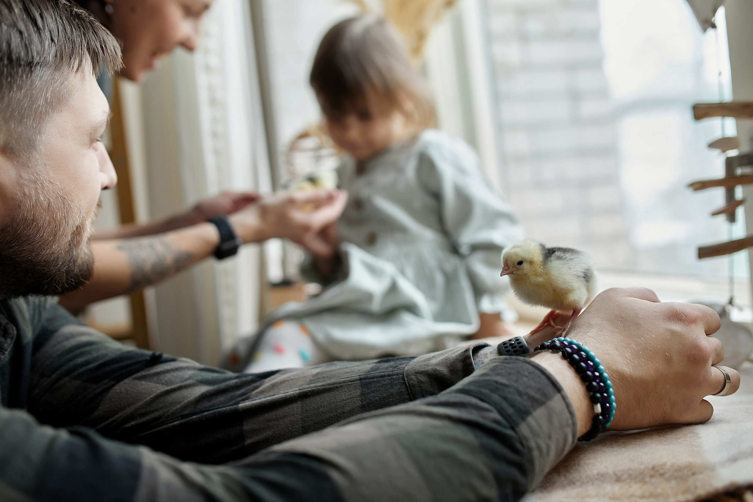 Эля, Саша, Василиса и цыплята. Свадебный и семейный фотограф в Иркутске Яна Лиа