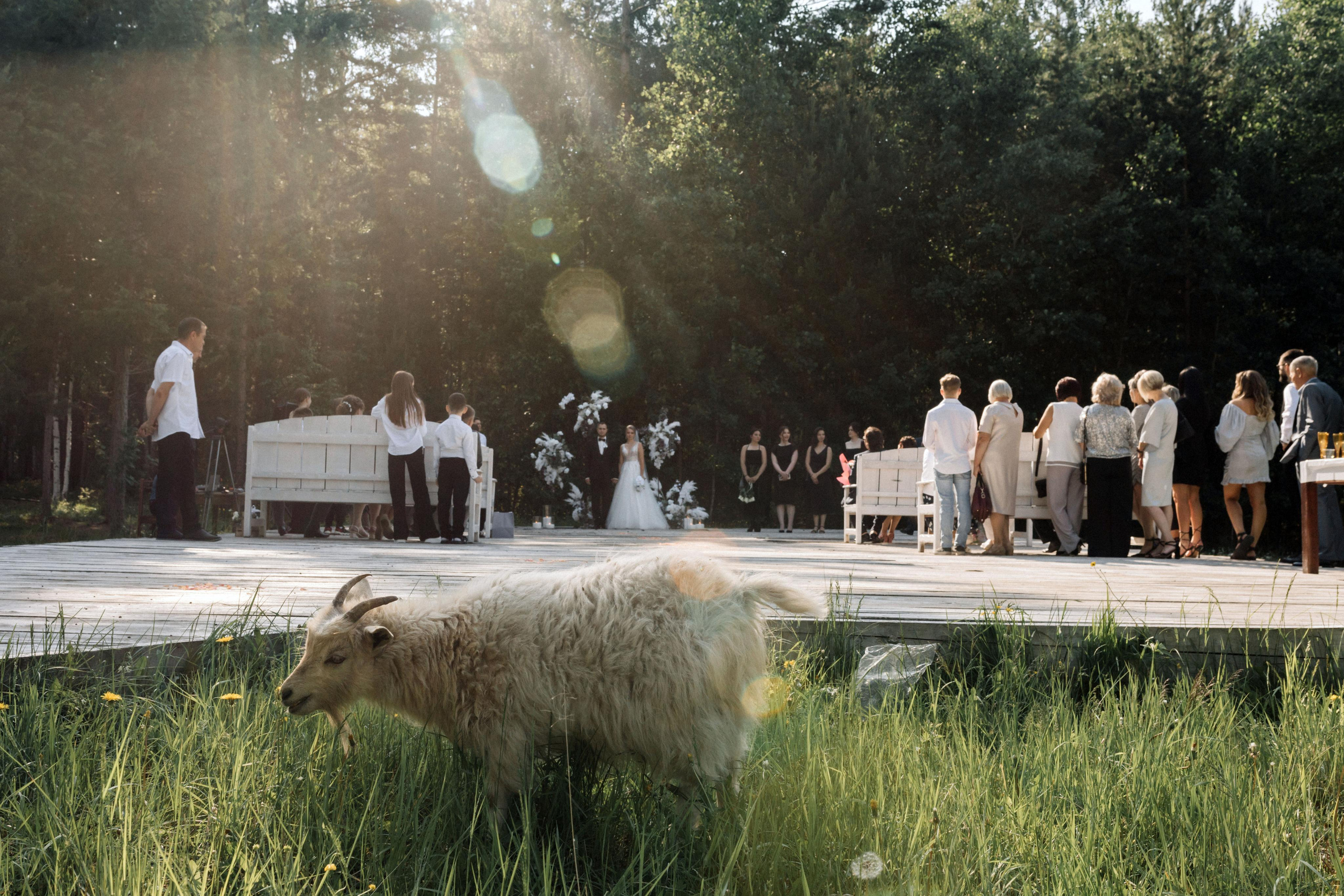 Свадьба Артема и Даши. Свадебный и семейный фотограф в Иркутске Яна Лиа