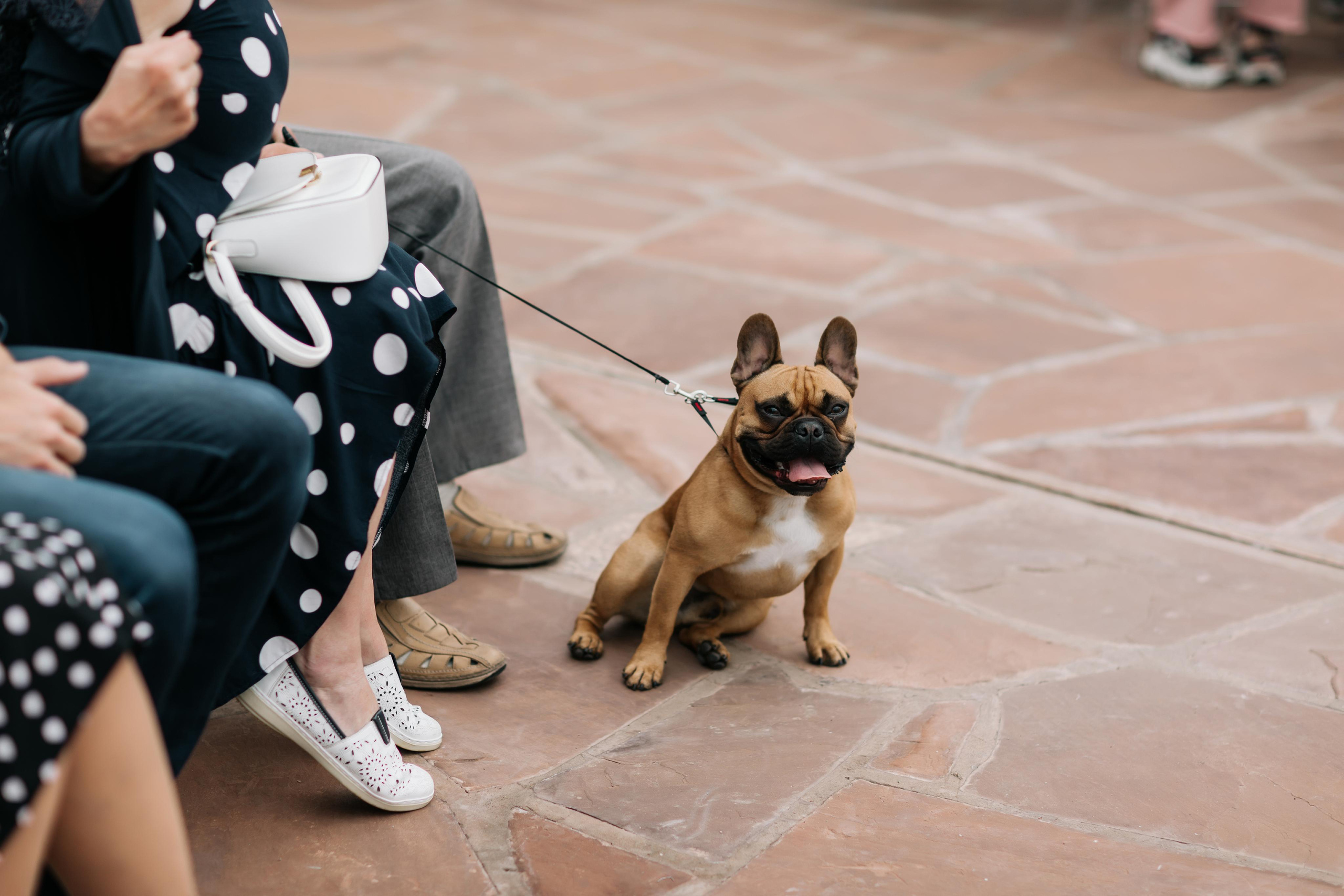 Алексей и Дарья. Свадебный и семейный фотограф в Иркутске Яна Лиа