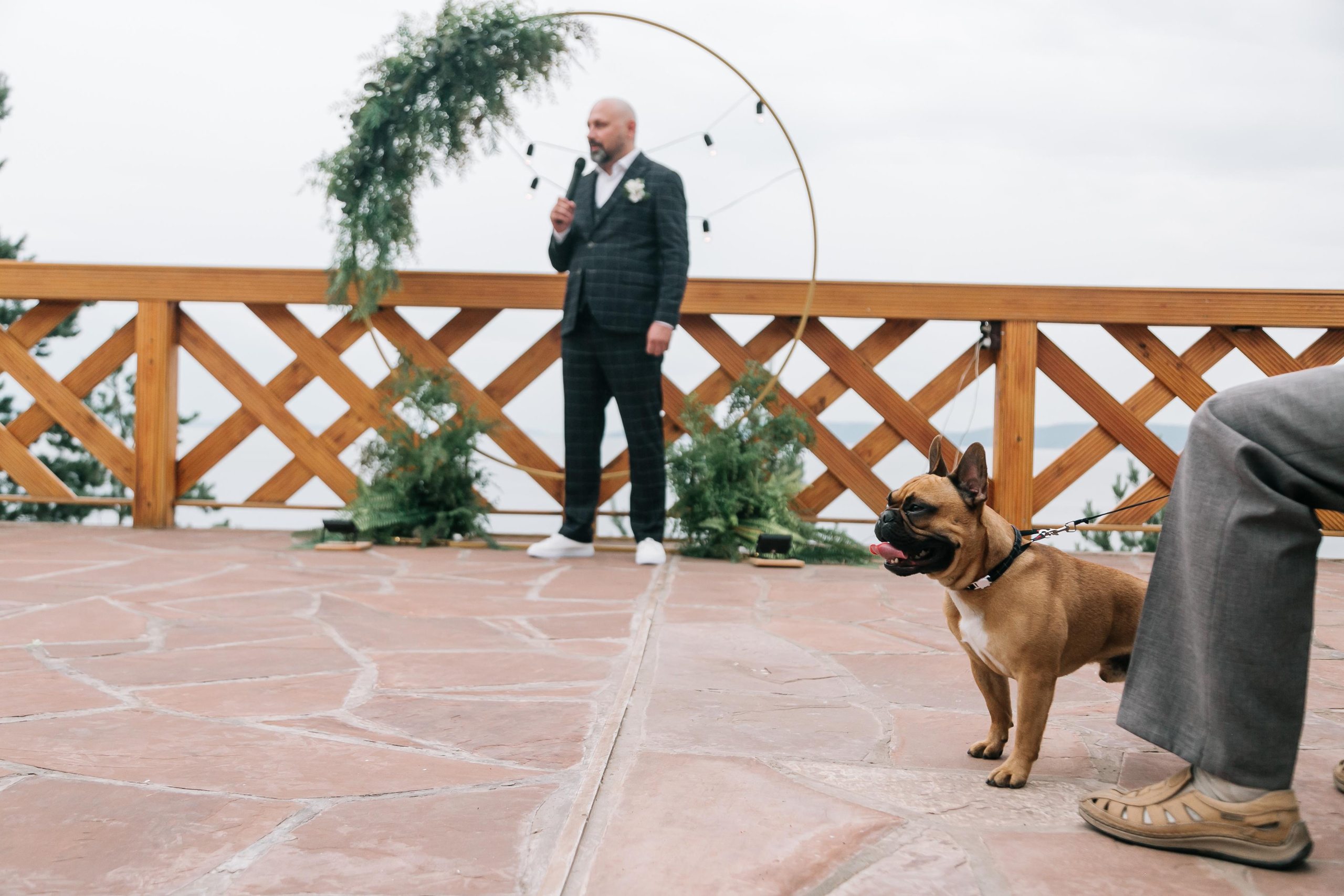 Алексей и Дарья. Свадебный и семейный фотограф в Иркутске Яна Лиа