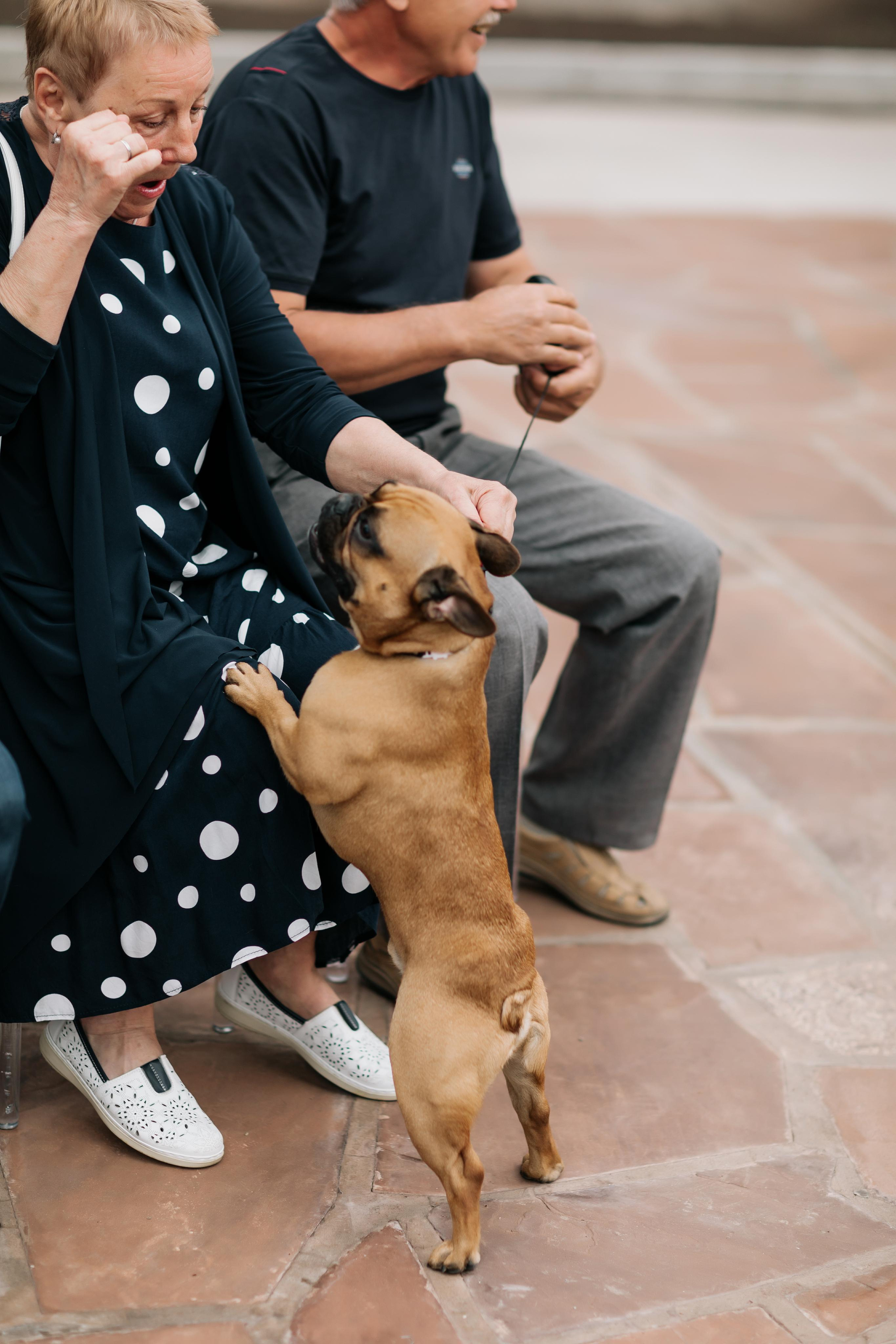 Алексей и Дарья. Свадебный и семейный фотограф в Иркутске Яна Лиа