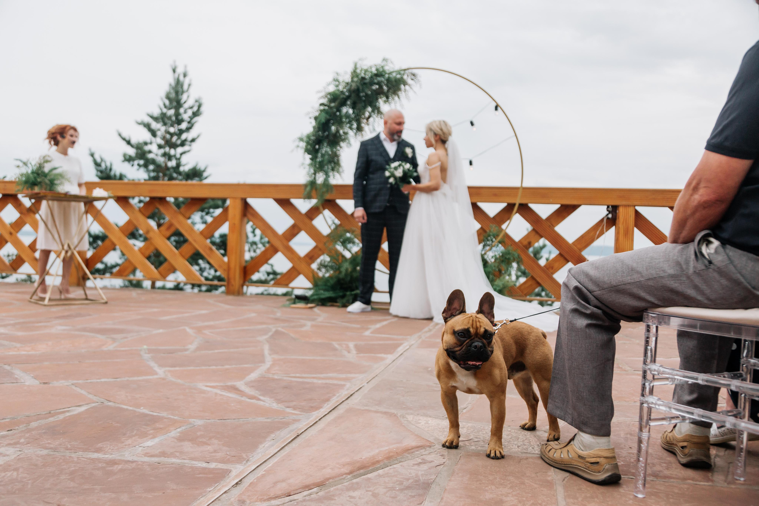 Алексей и Дарья. Свадебный и семейный фотограф в Иркутске Яна Лиа