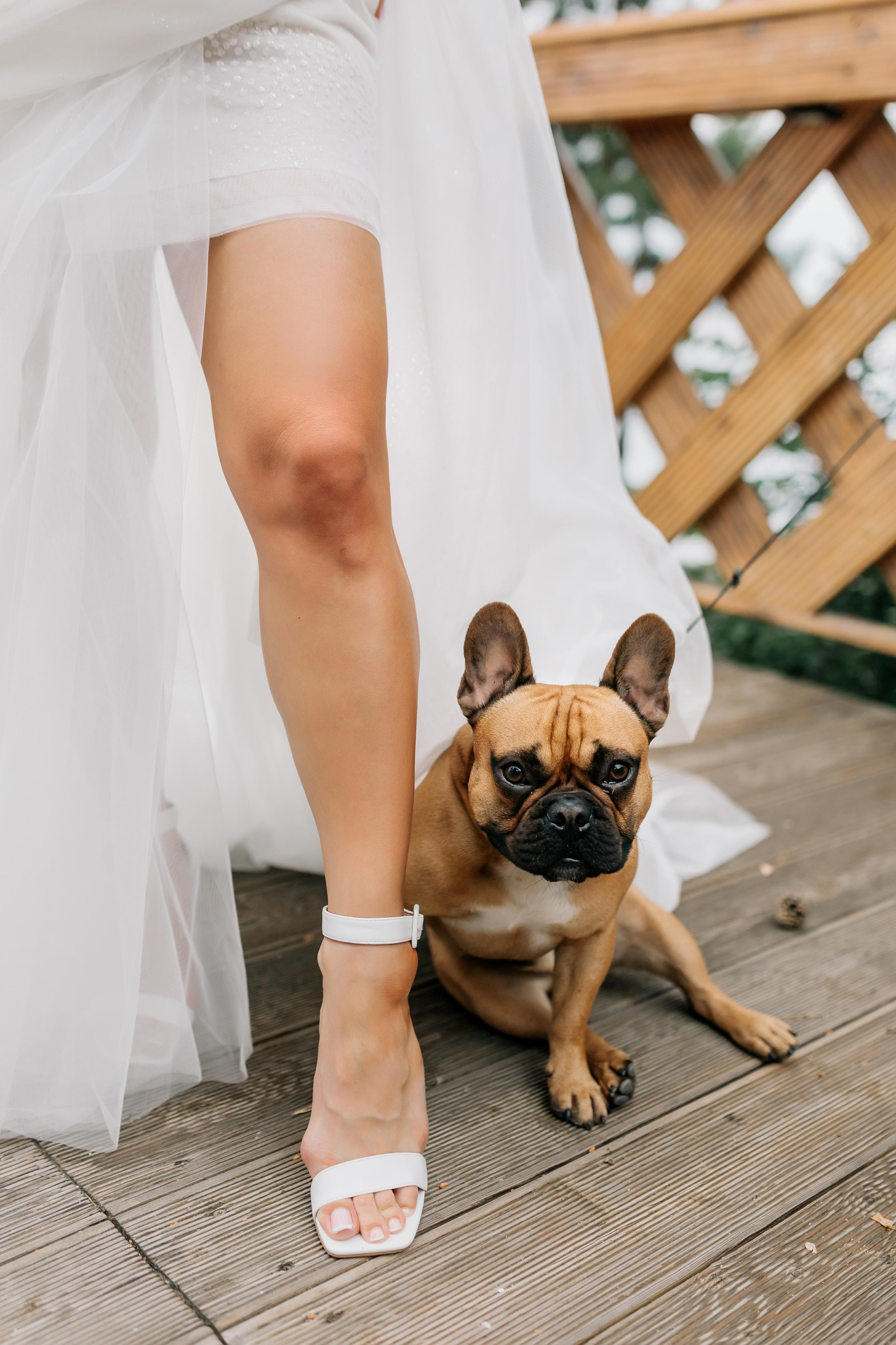 Алексей и Дарья. Свадебный и семейный фотограф в Иркутске Яна Лиа
