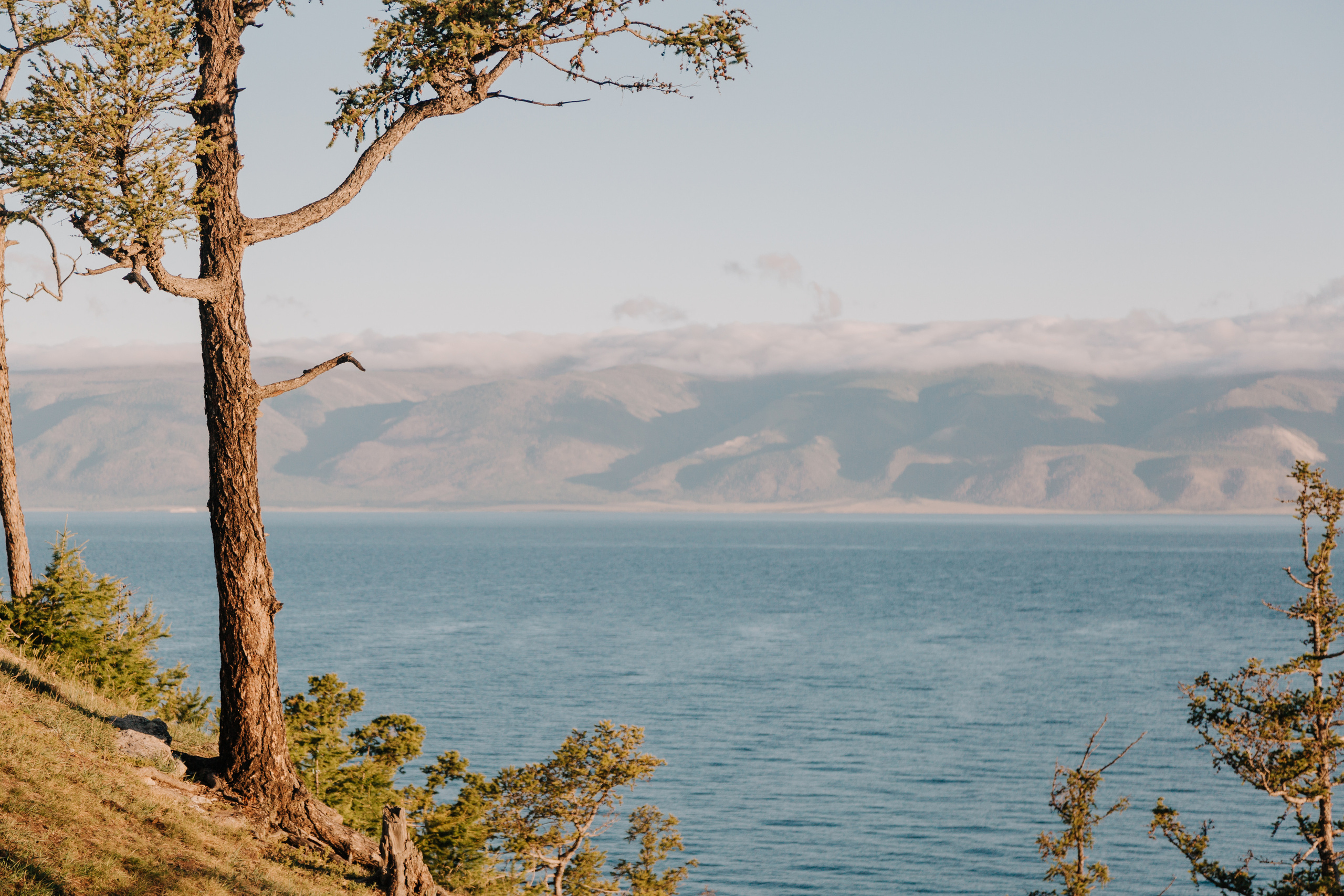 Диана и Илья. Свадебный и семейный фотограф в Иркутске Яна Лиа