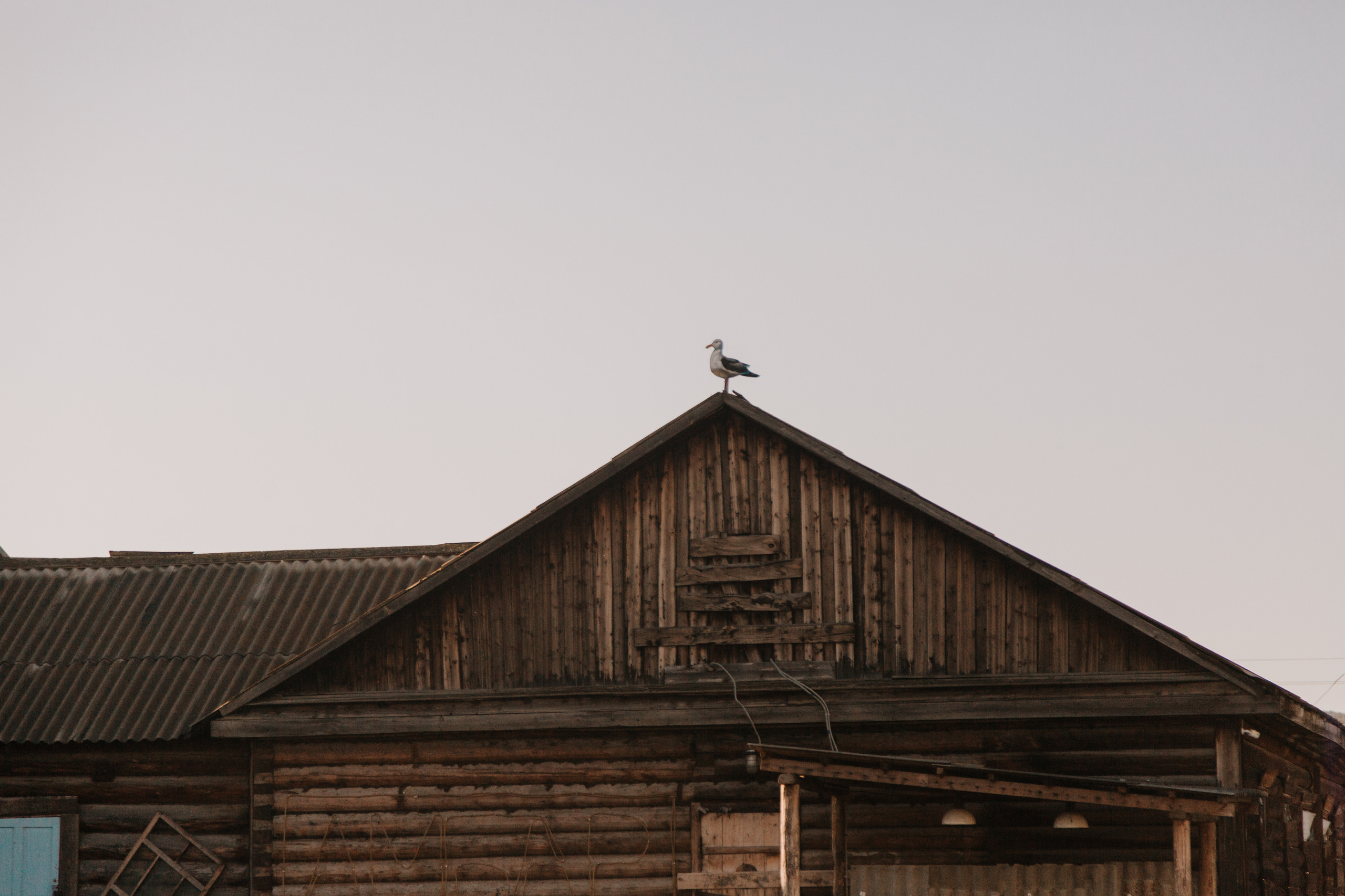 Диана и Илья. Свадебный и семейный фотограф в Иркутске Яна Лиа