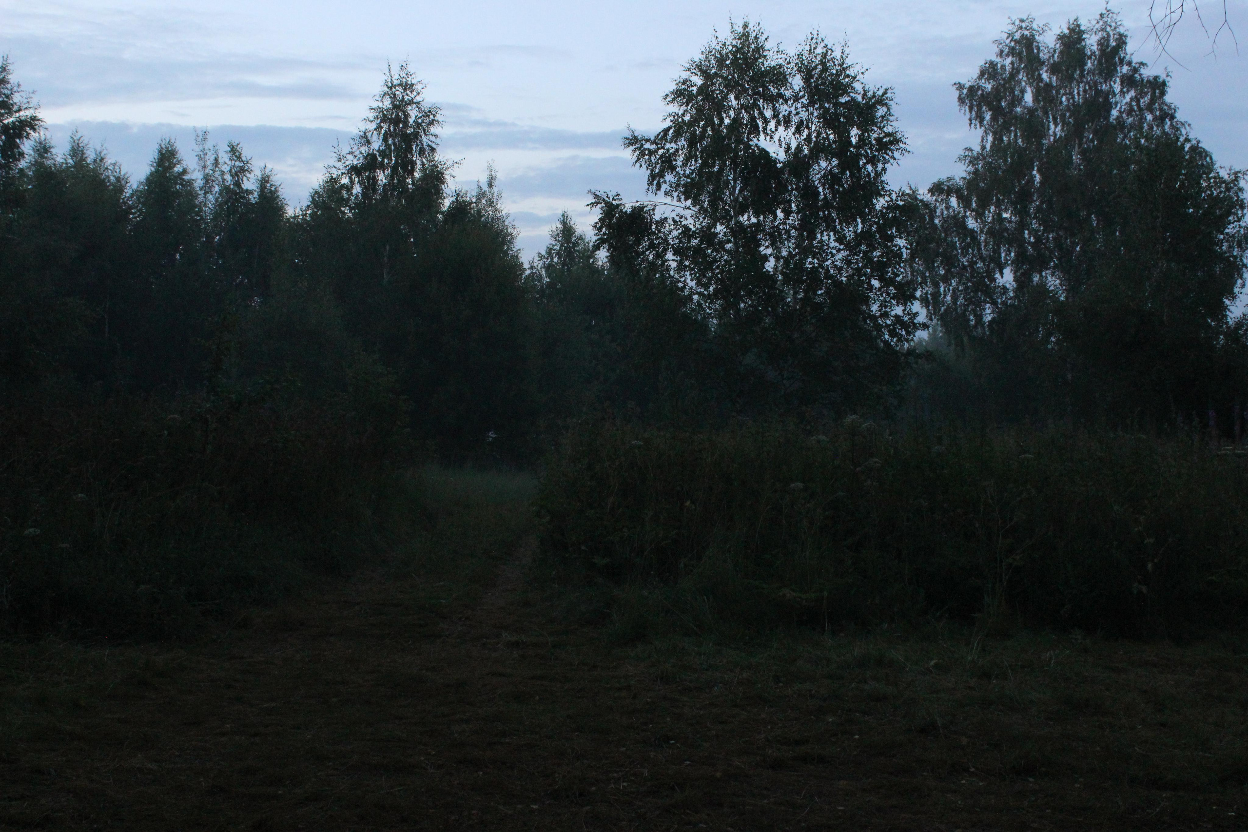 Пейзажи и натюрморты