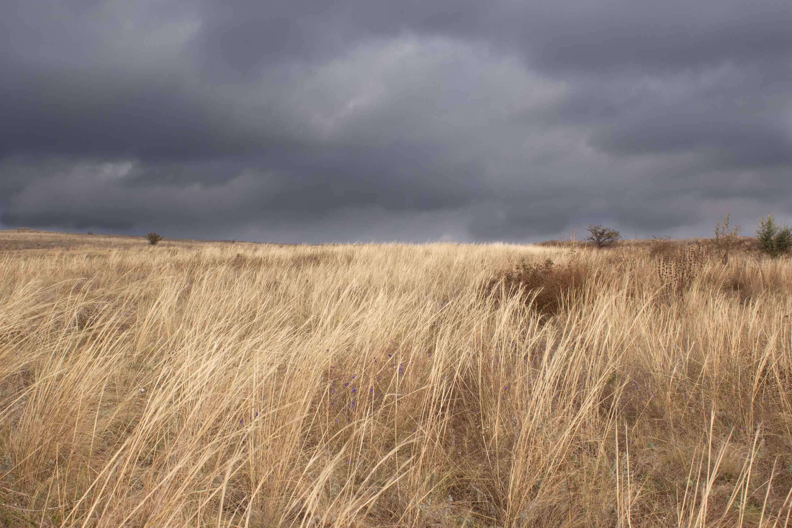 Пейзажи и натюрморты