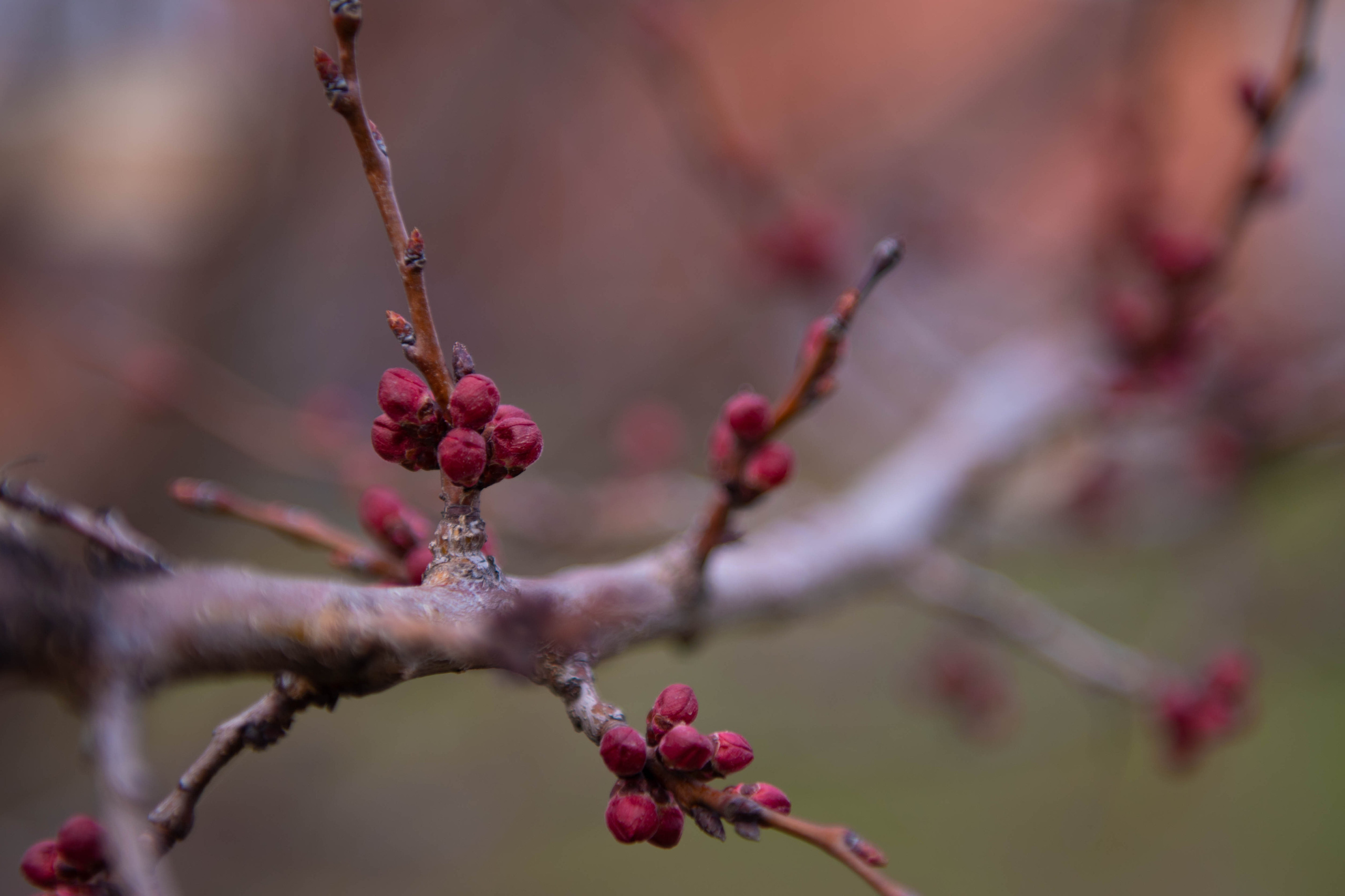 Пейзажи и натюрморты