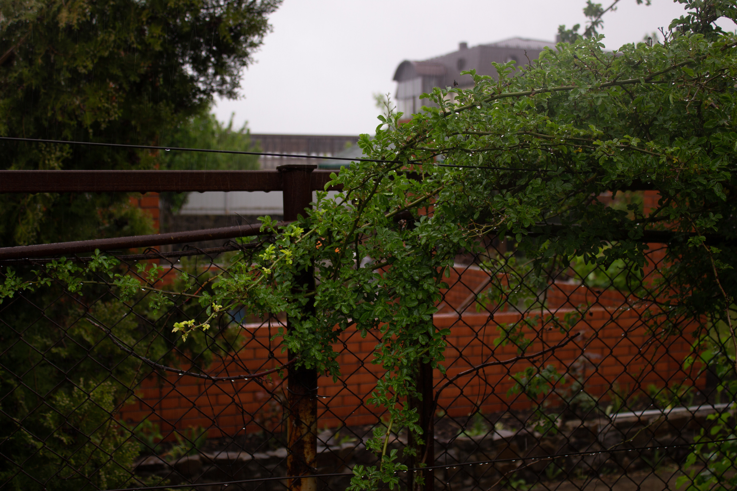 Пейзажи и натюрморты