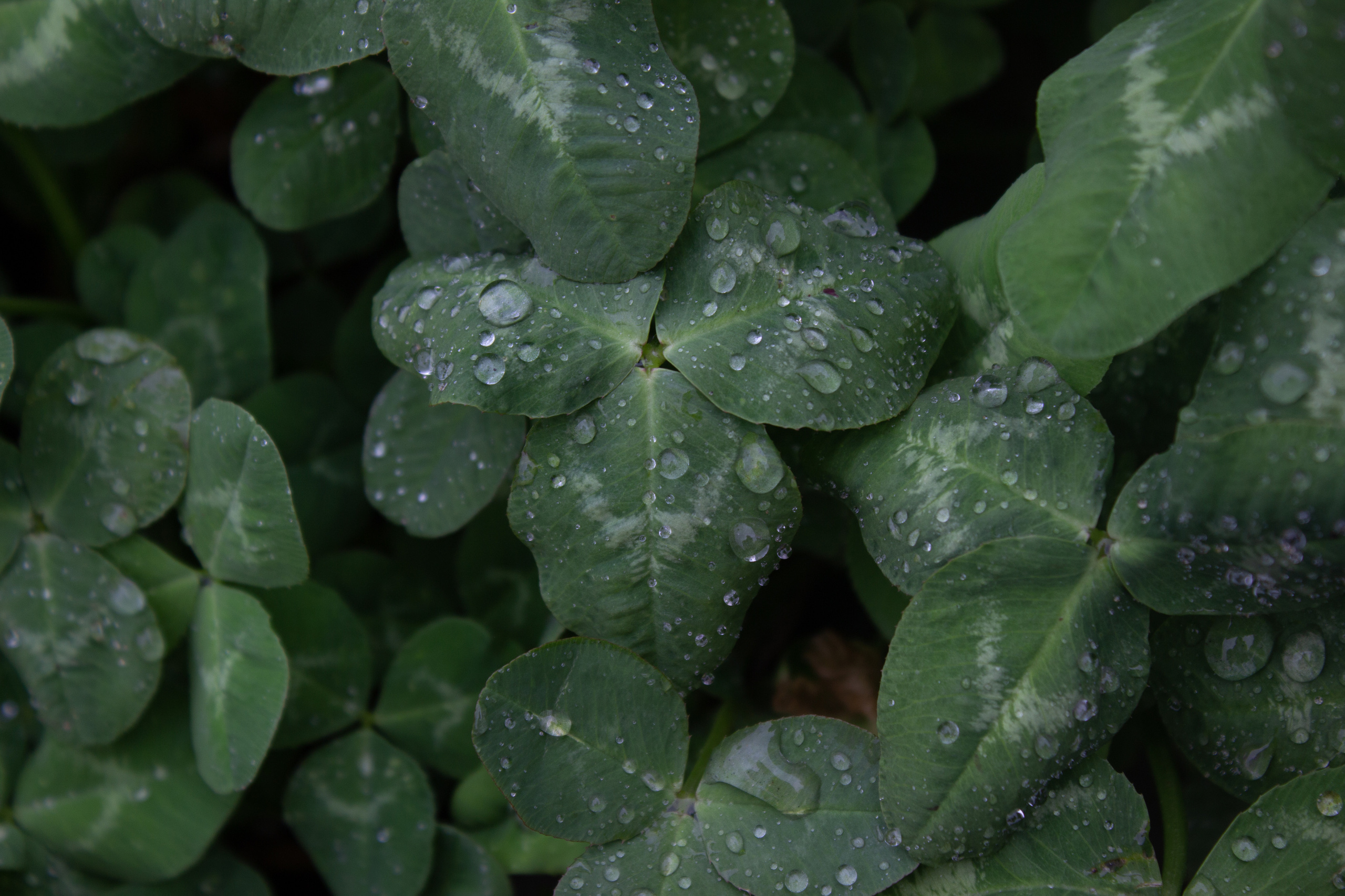 Пейзажи и натюрморты