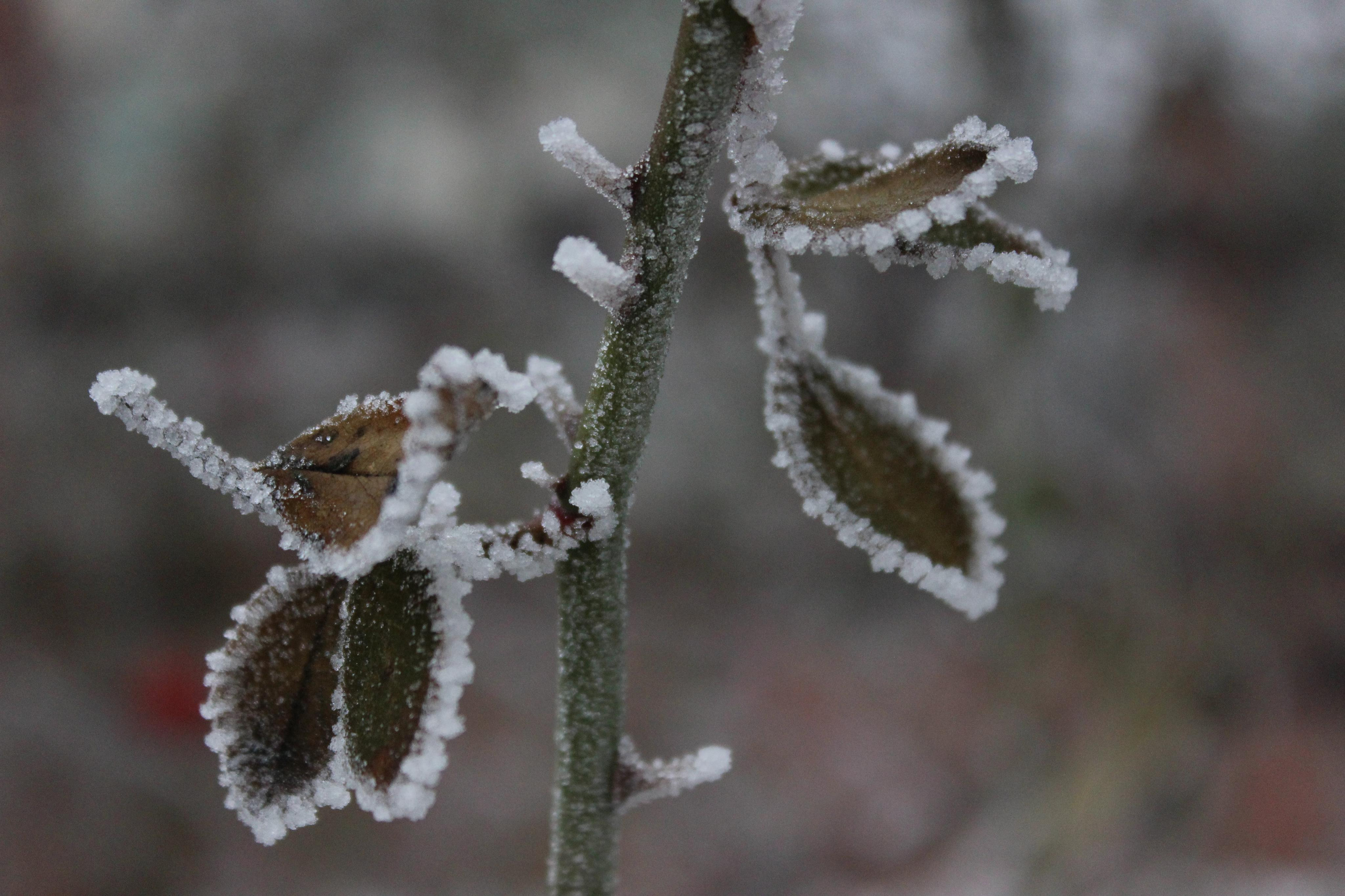 Пейзажи и натюрморты