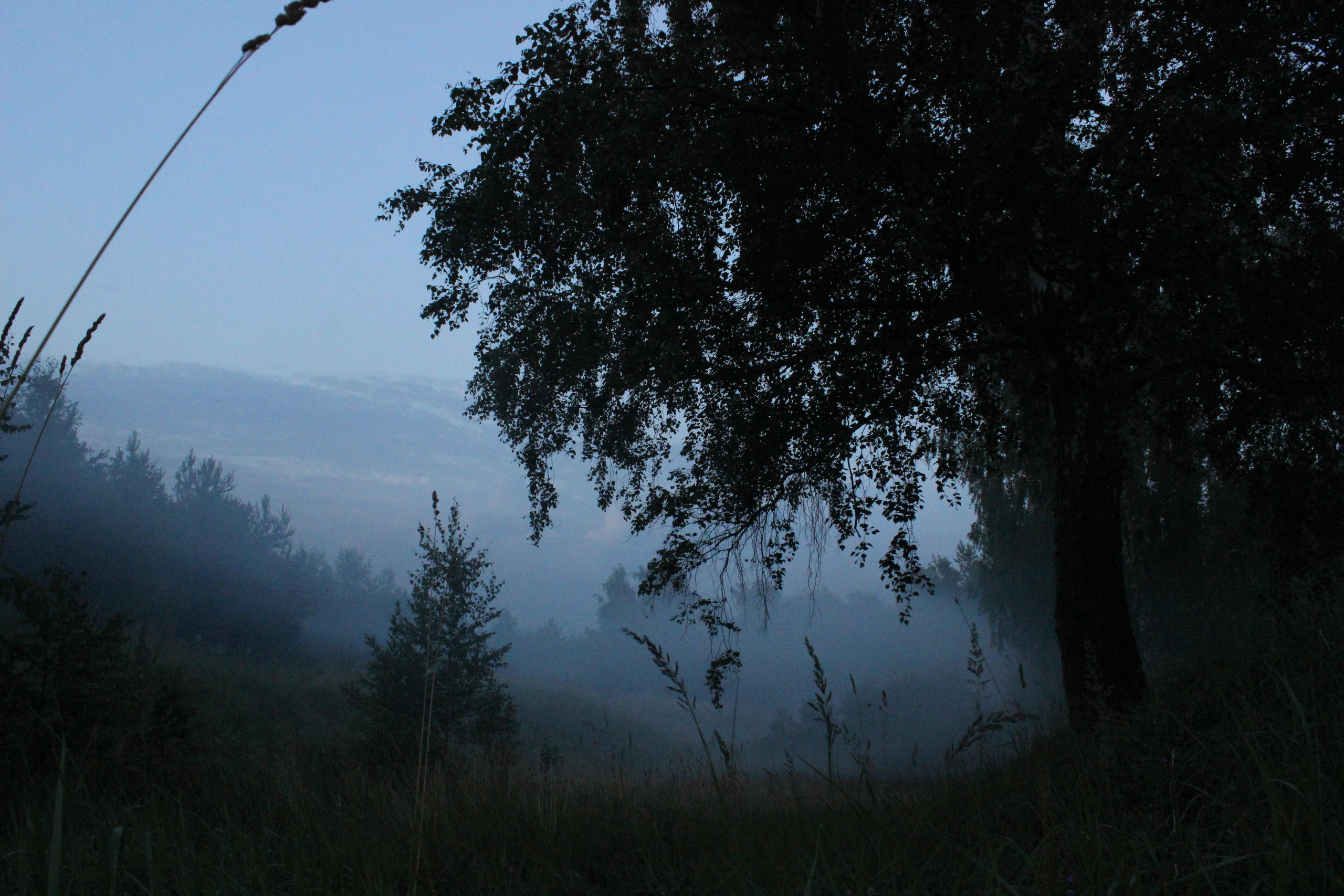 Пейзажи и натюрморты