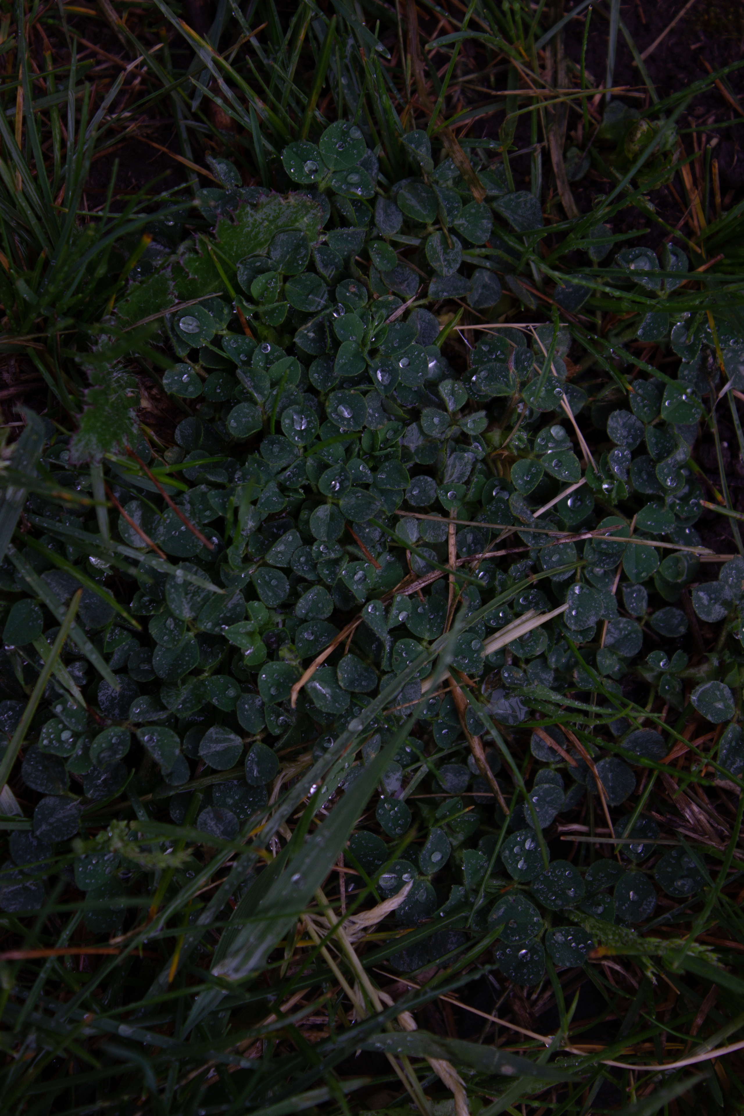 Пейзажи и натюрморты