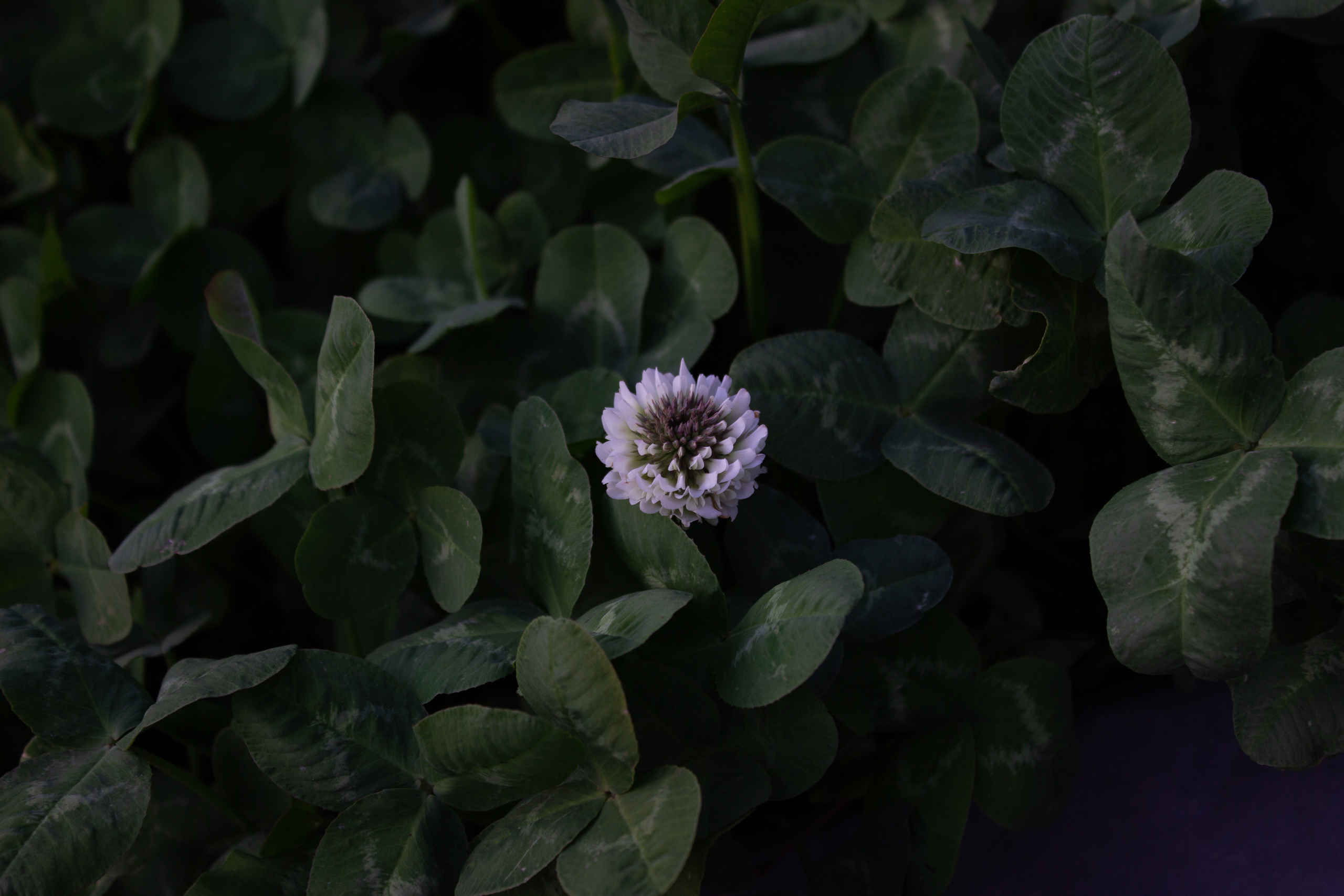 Пейзажи и натюрморты