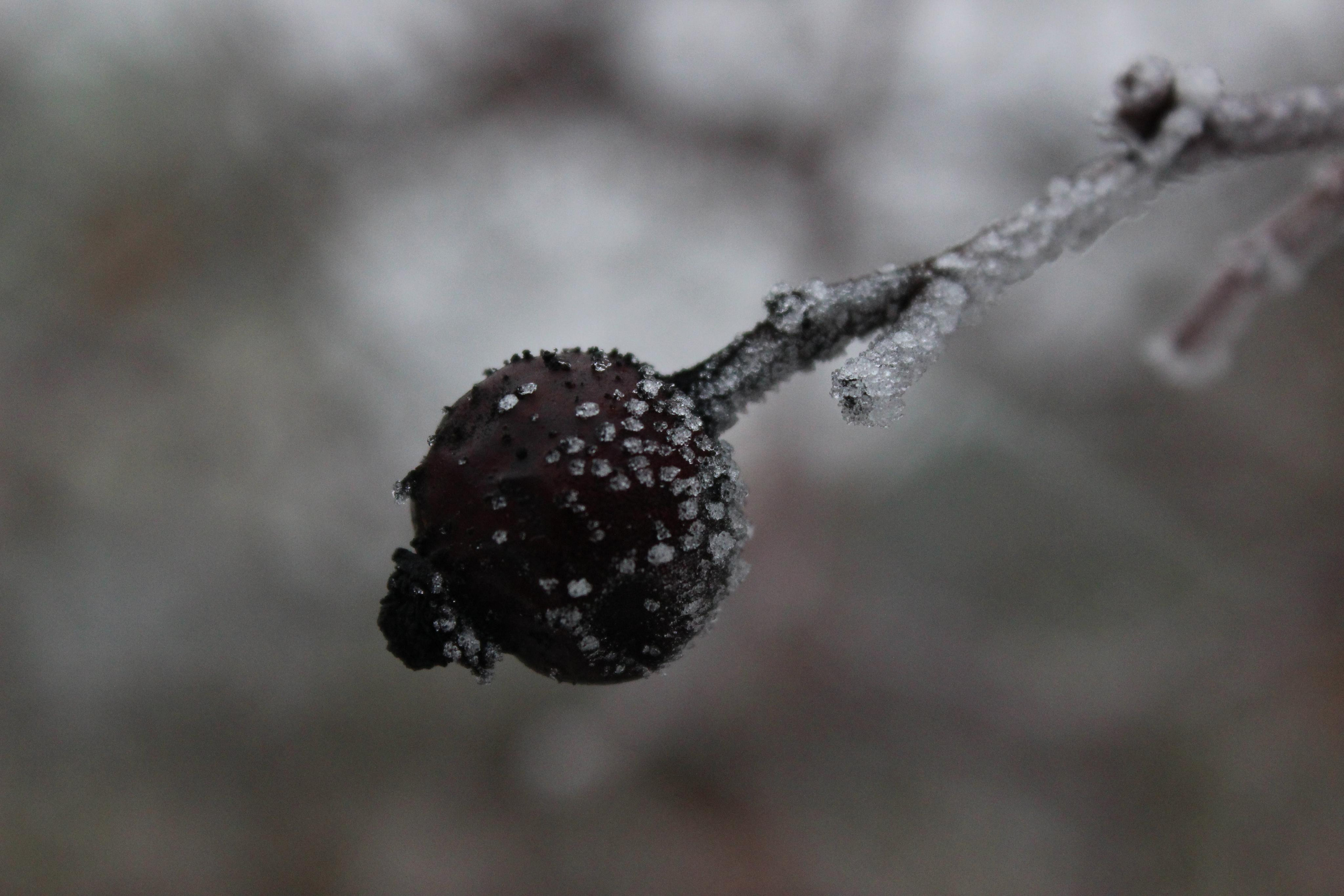 Пейзажи и натюрморты