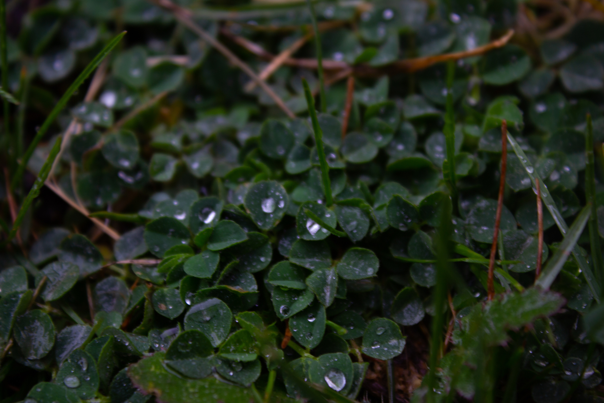 Пейзажи и натюрморты