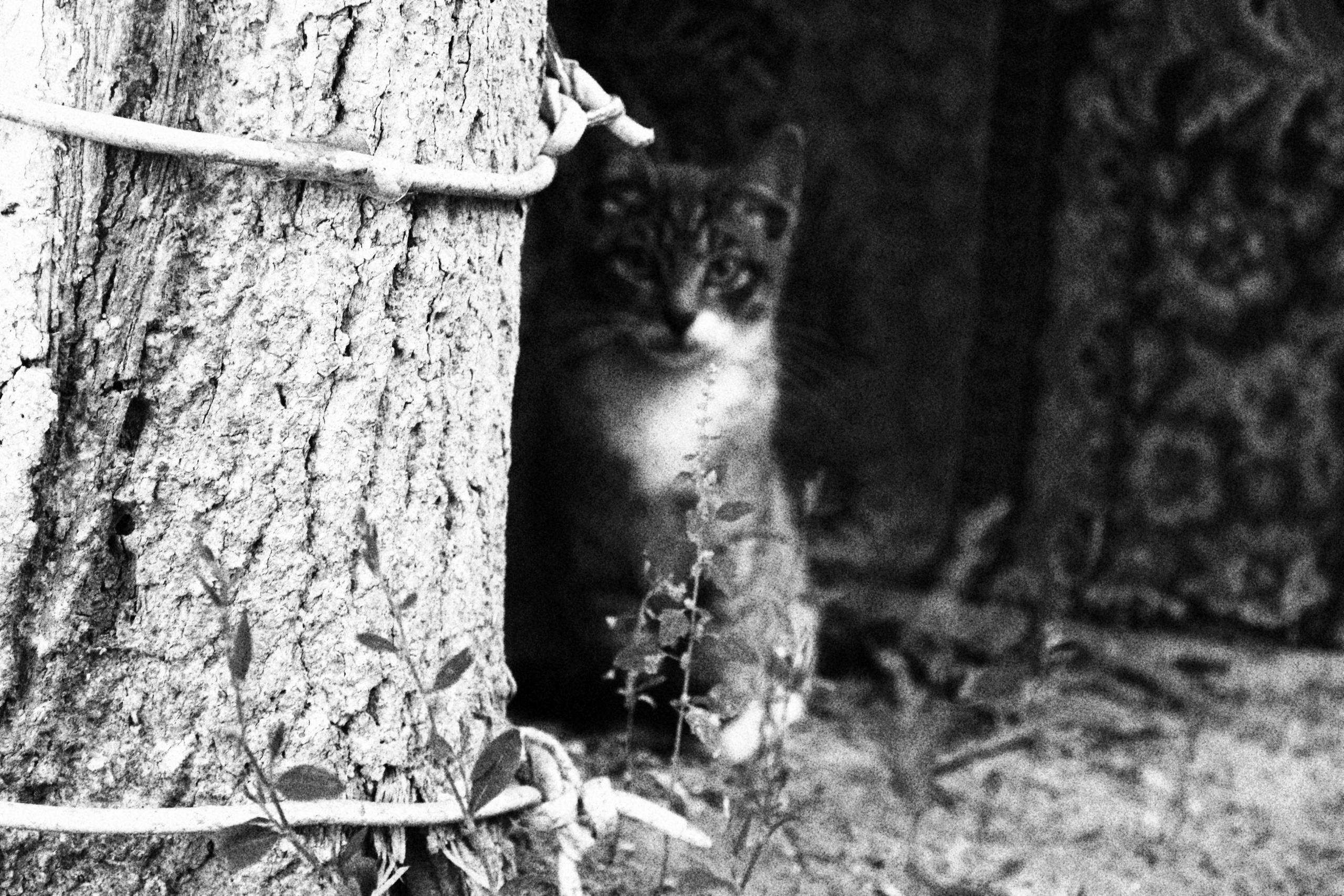 Всё, что я вижу вокруг себя