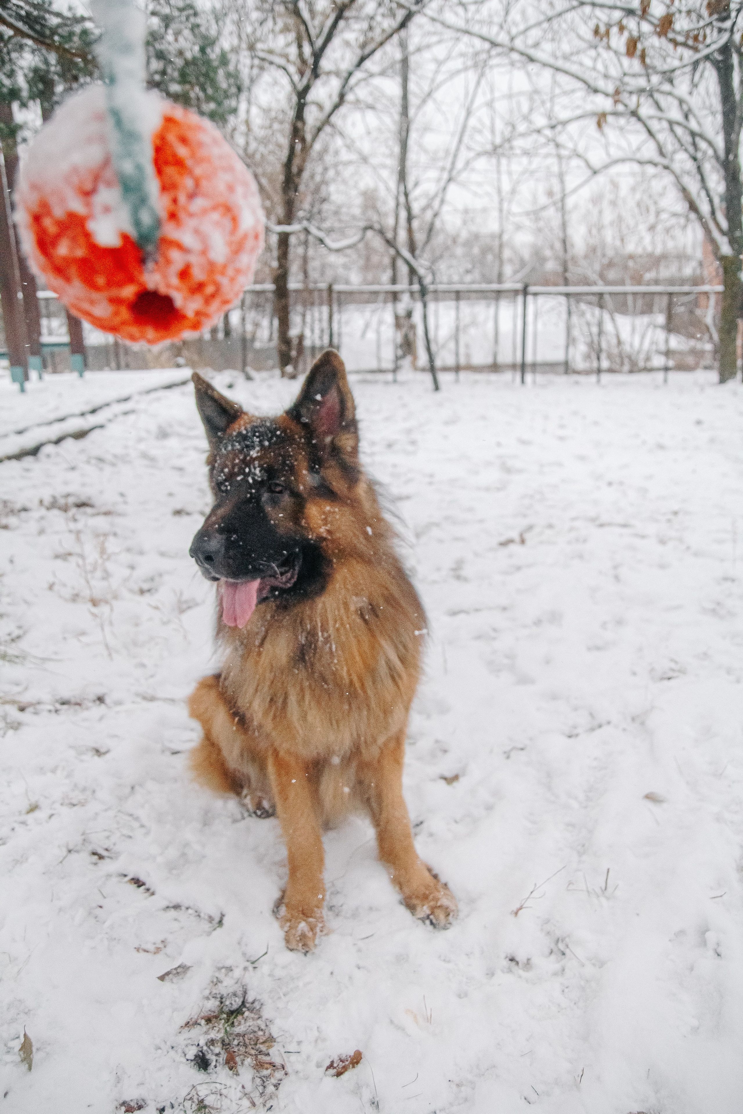 Первый снег 24. Фотограф в Хабаровске Юлия Чванова