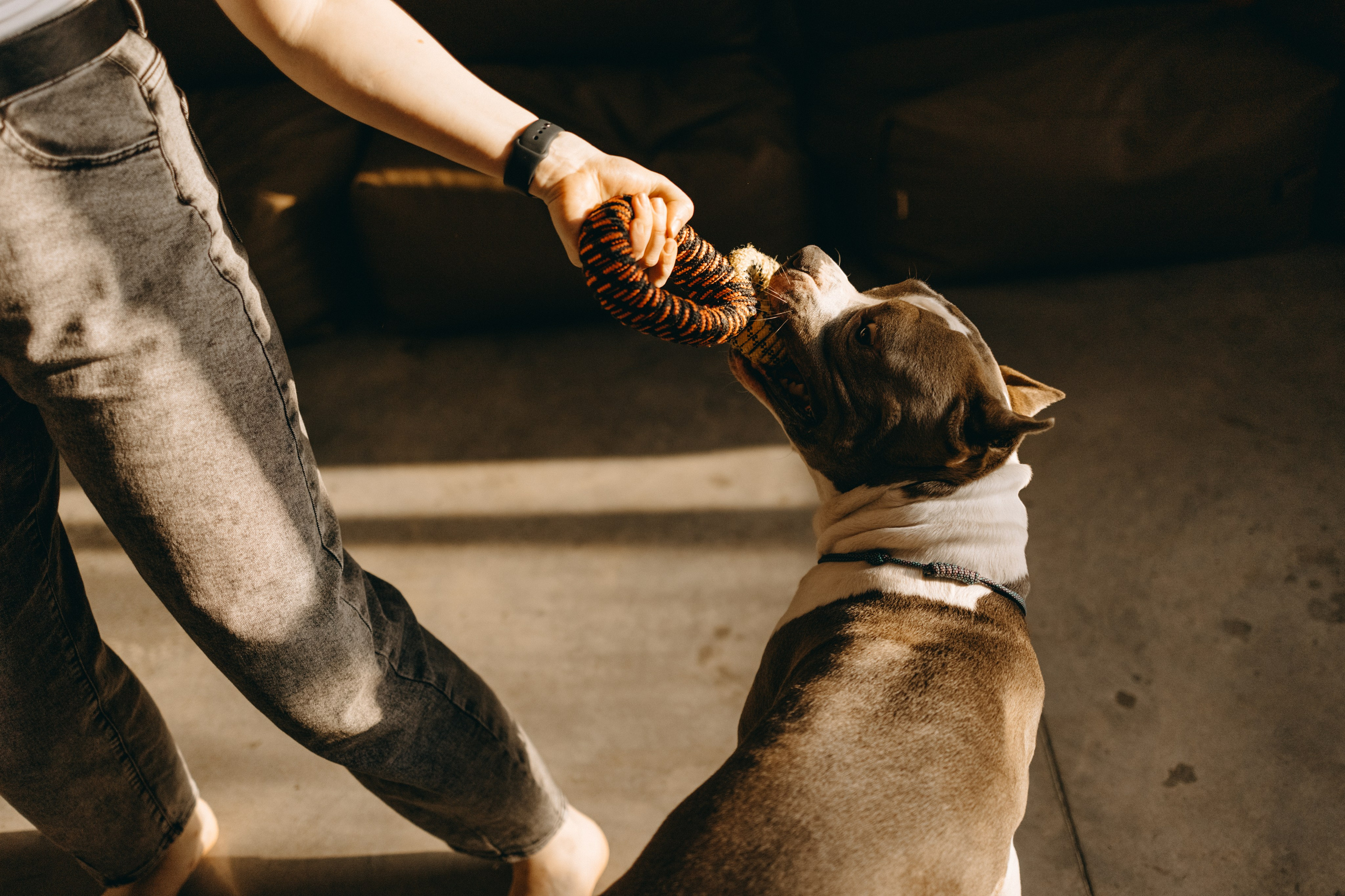 Саша и Кракен. Фотограф — Анималист | Санкт-Петербург