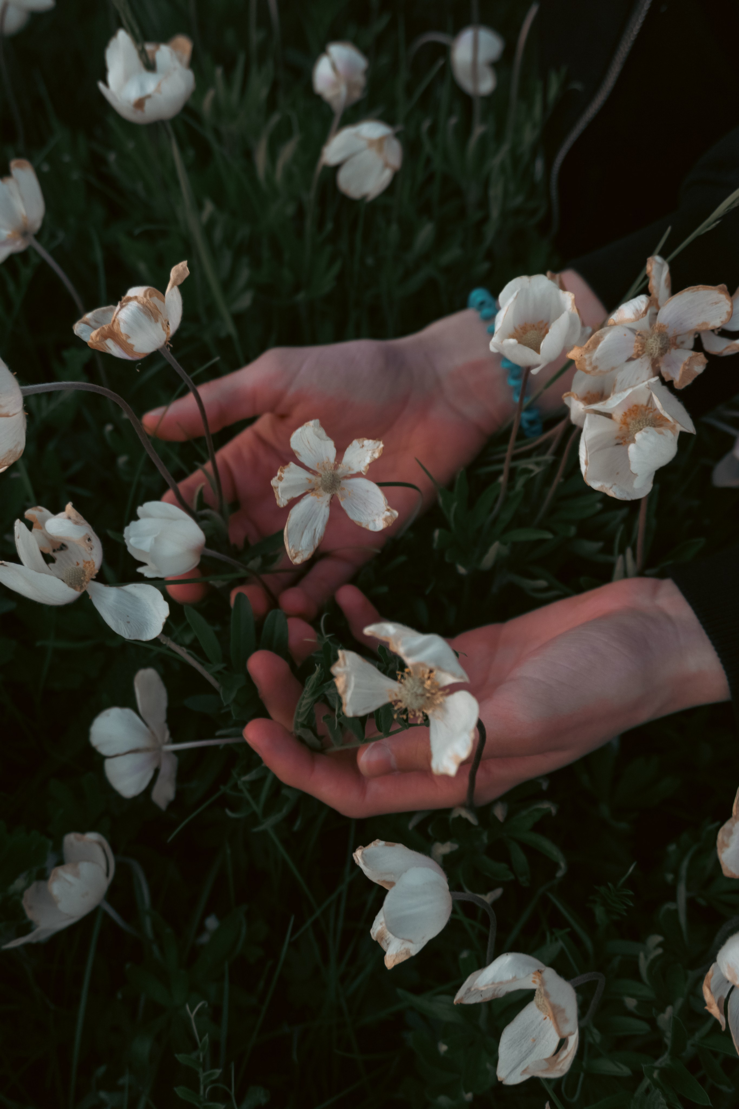 Insomniya. Kuznetsov | Фотограф в Красноярске