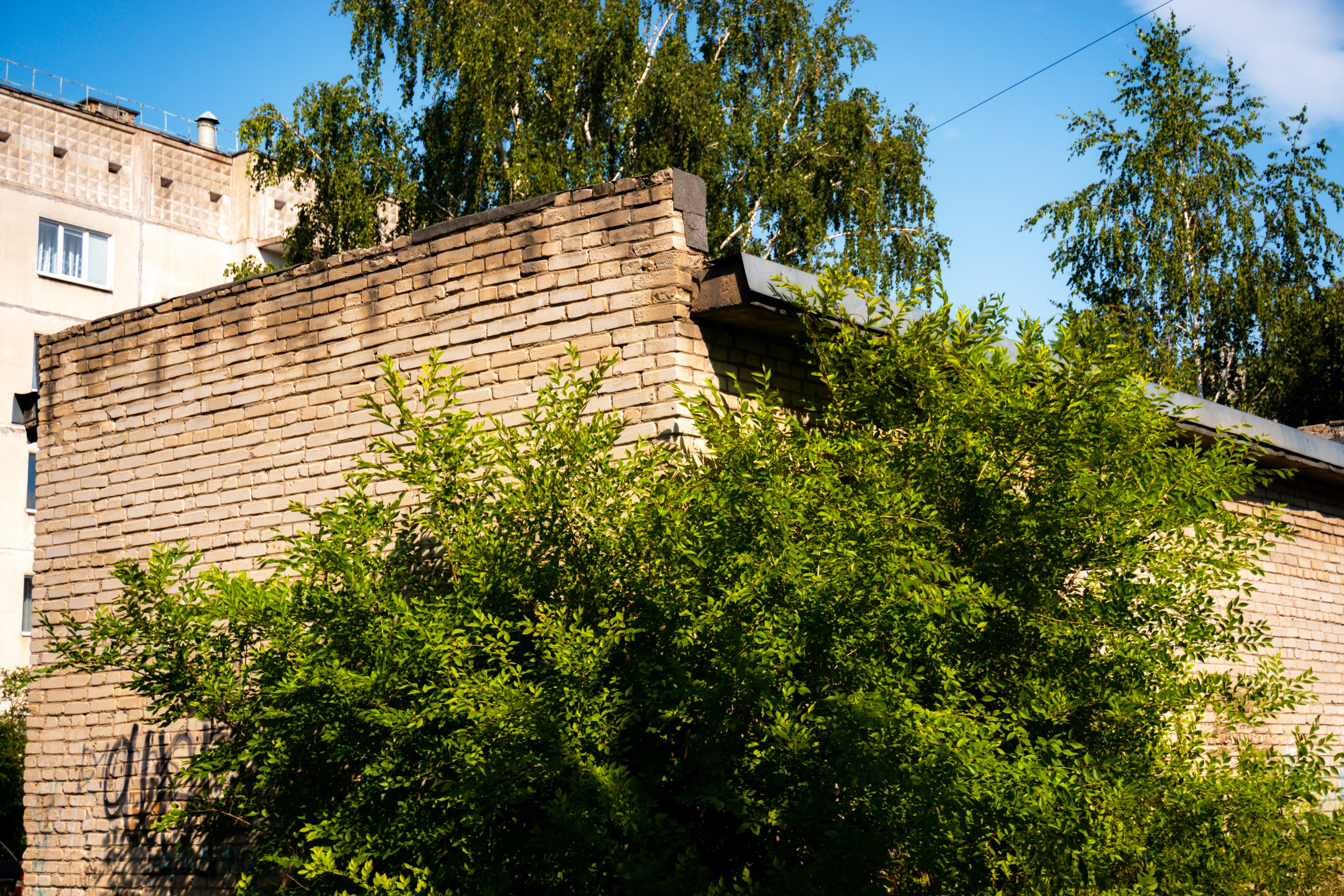 25.06.2025 | Сосновоборск. Kuznetsov | Фотограф в Красноярске