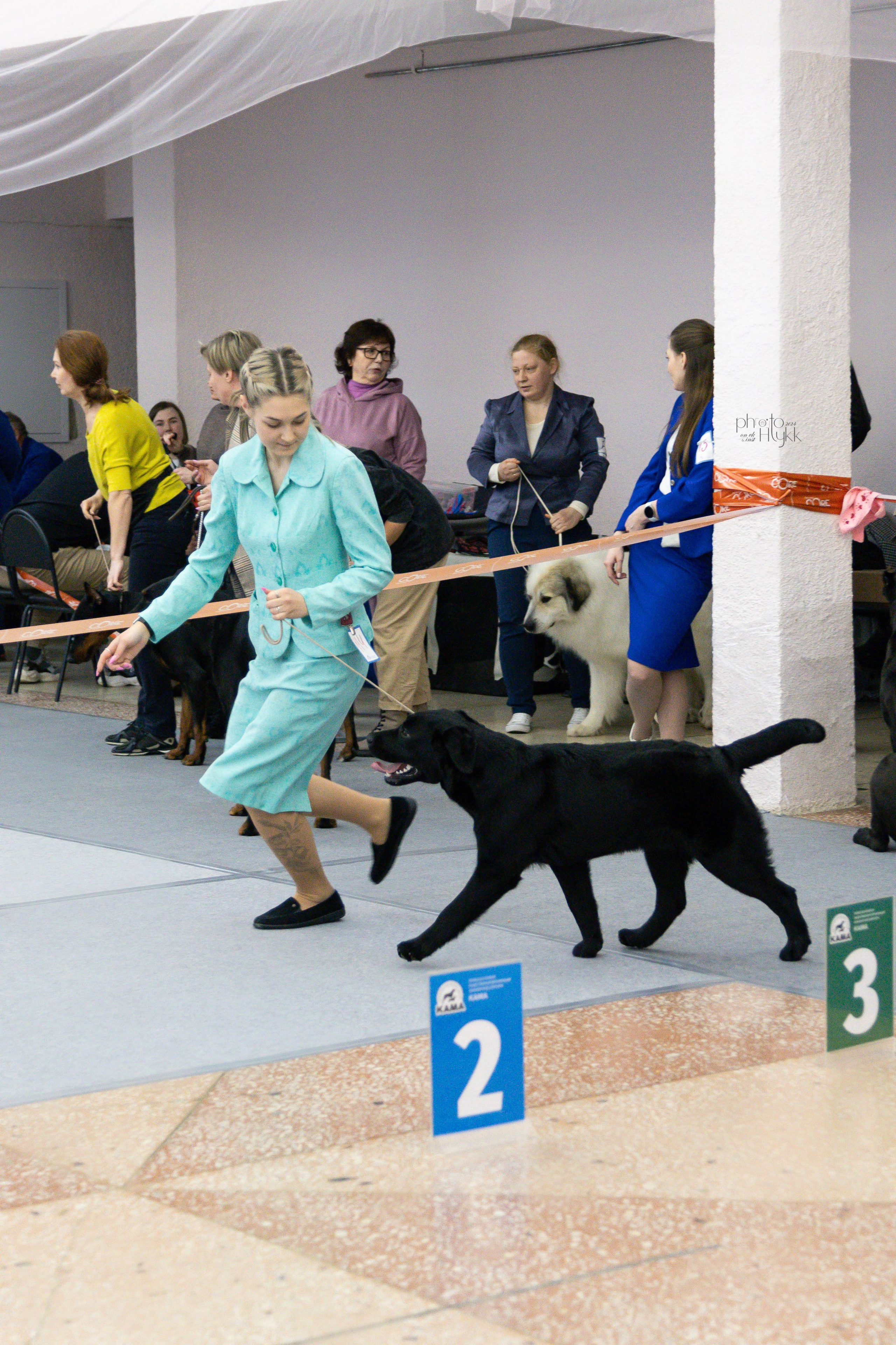 31 марта 2024, Выставка РКФ, г. Пермь. Htykk_photo