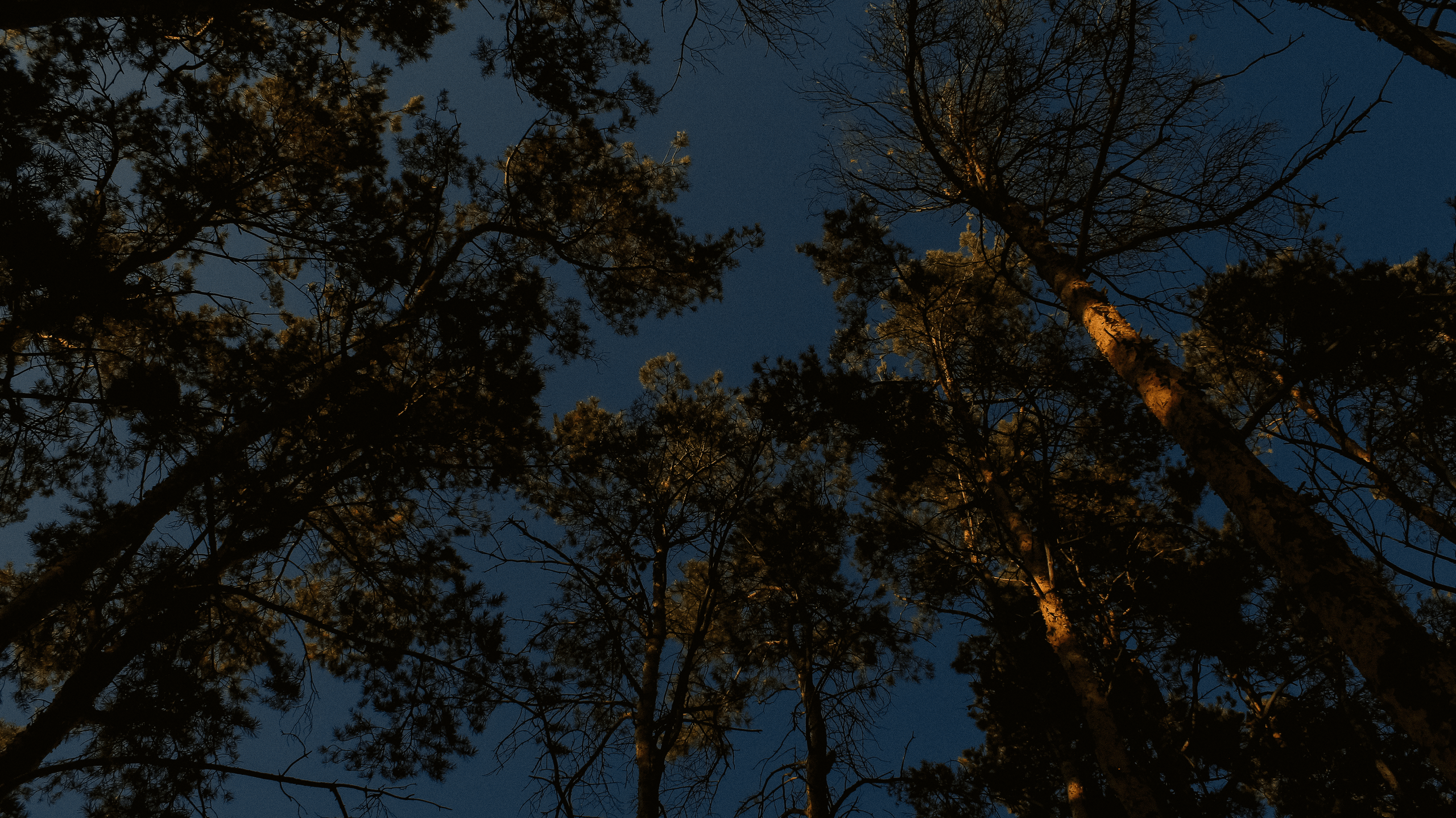 TMN summer '24. Фотограф/дизайнер в Екатеринбурге Хитрый Дмитрий