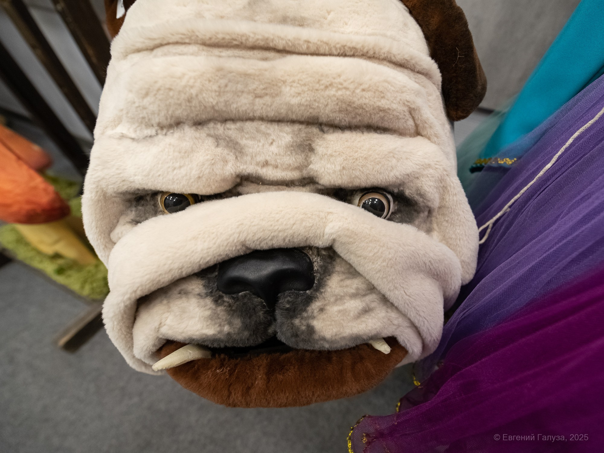 Выставка кукол. Репортажный фотограф г. Чита