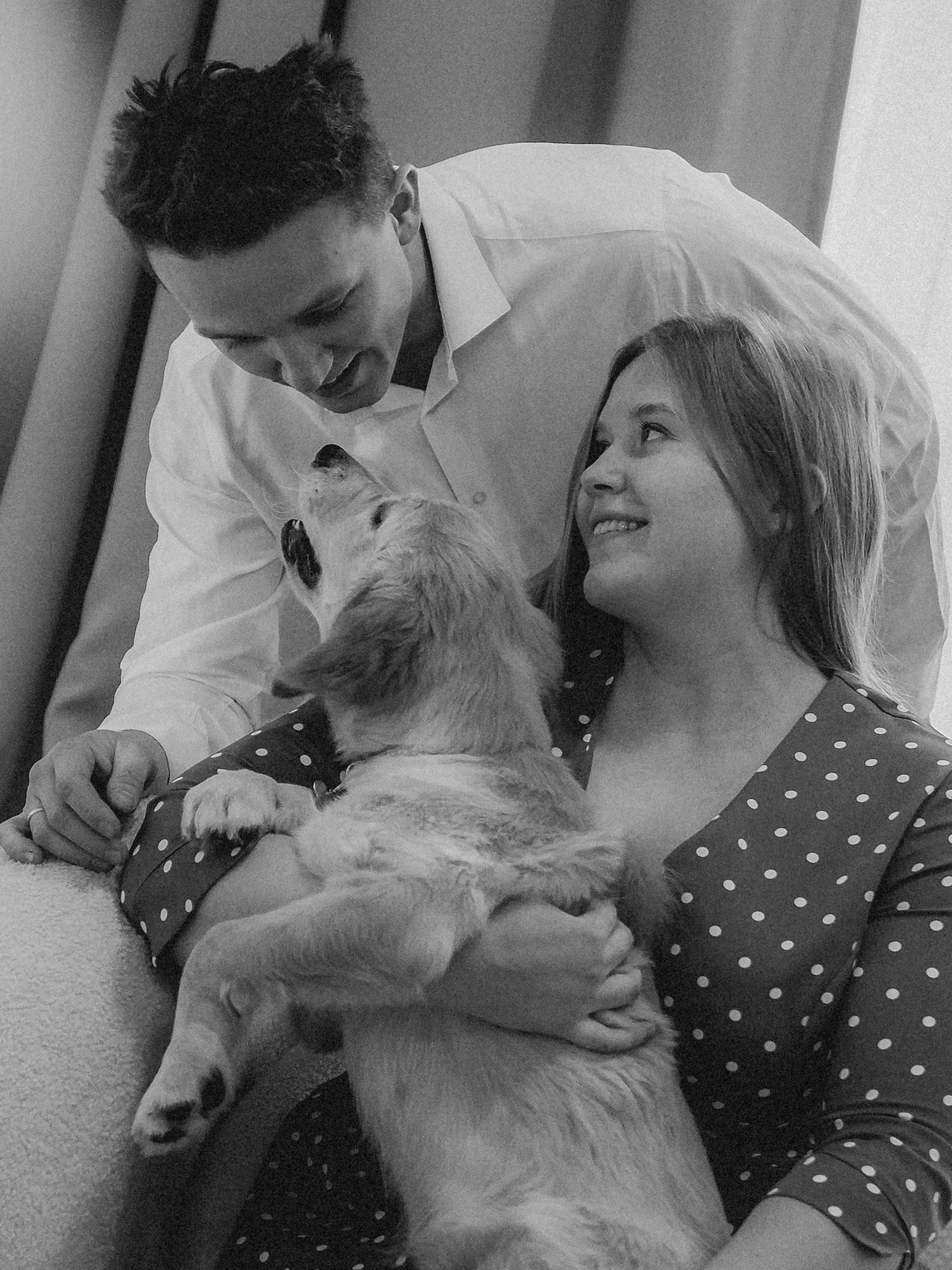 Малышка Молли и новый год. Фотограф в Москве — Сергей Люкшинов