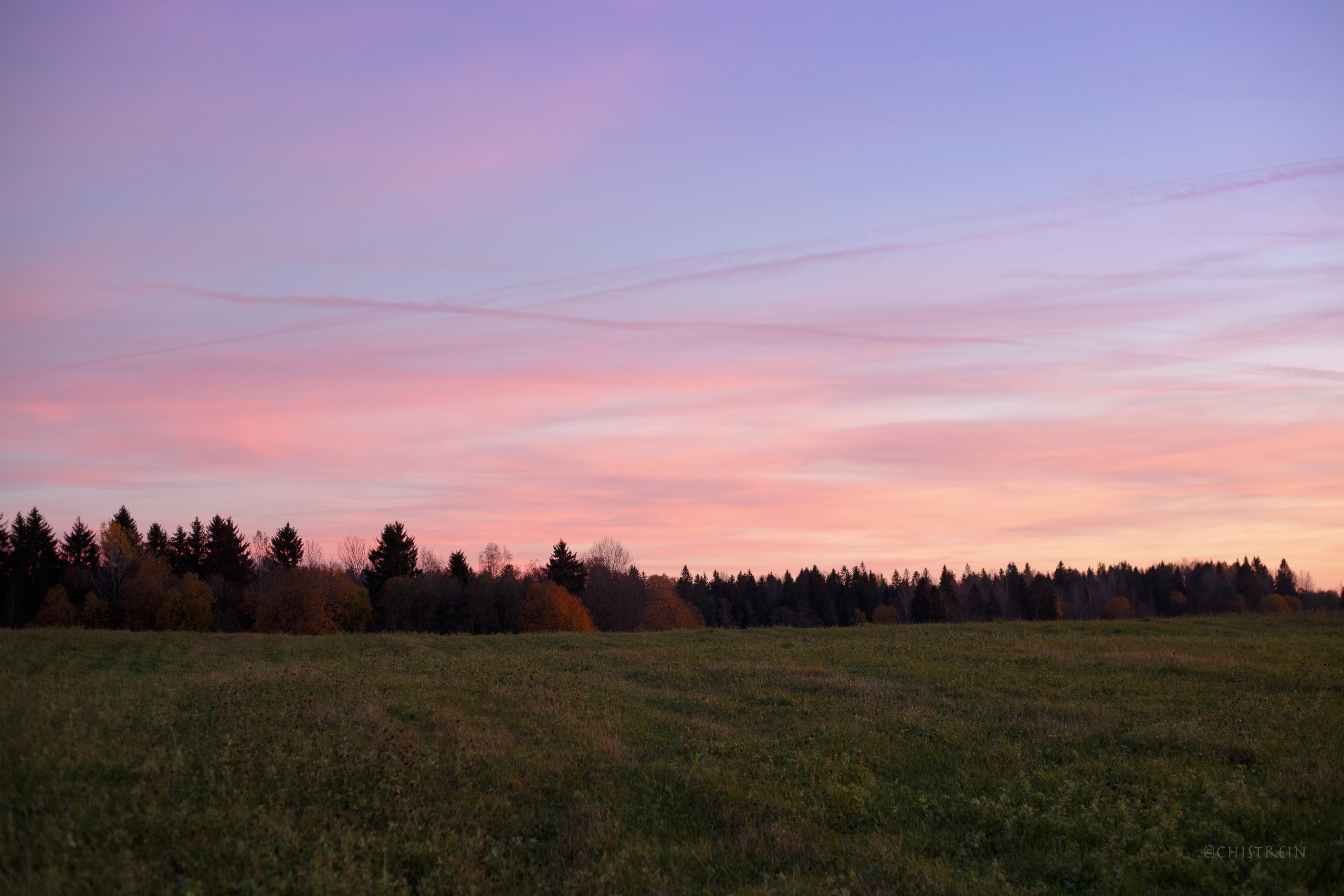 Октябрьский закат в полях. Алина и Лео. Фотограф-анималист Наталия Чистюхина в г. Сосновый Бор и ЛО