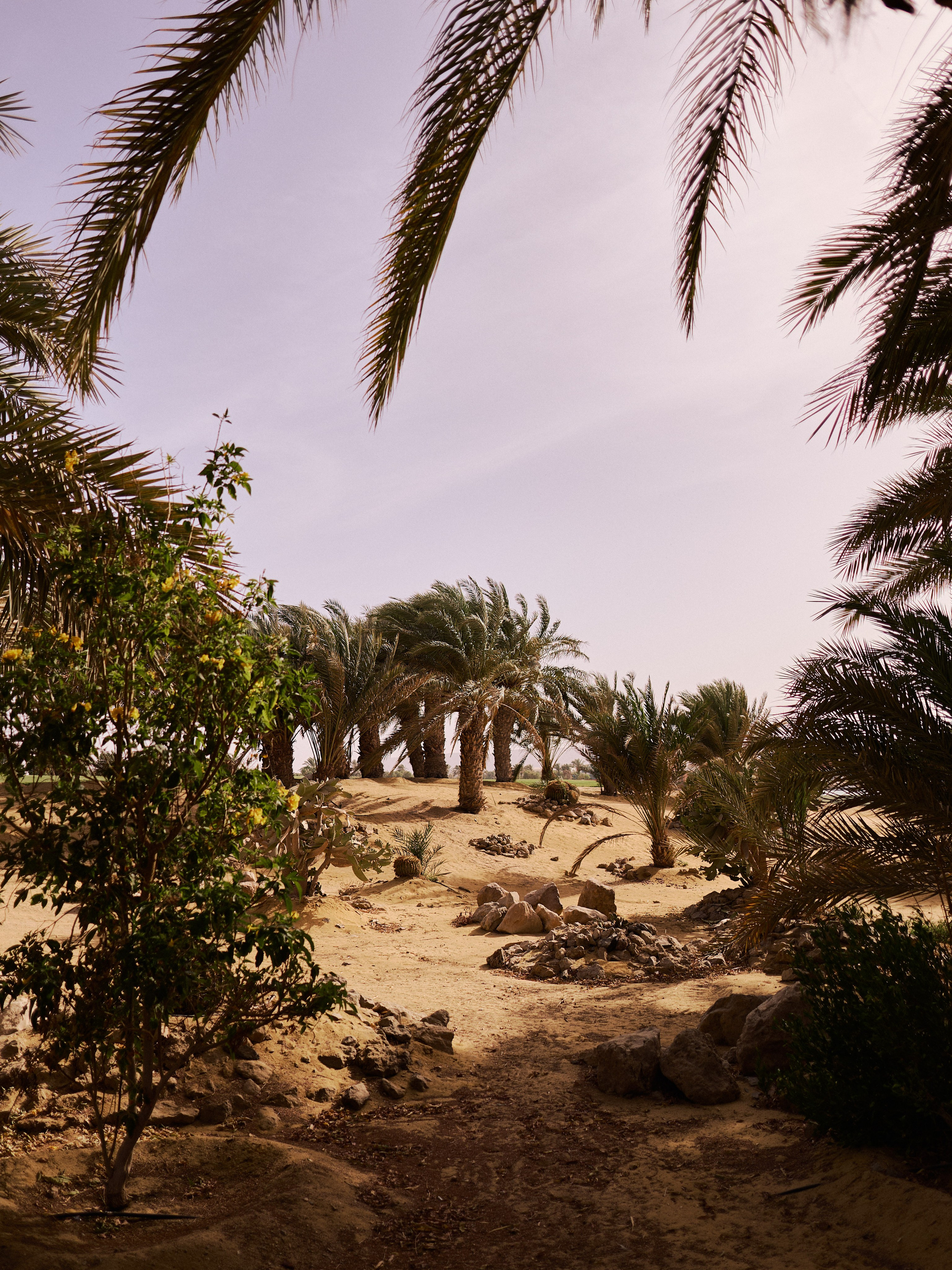 Другое 2. Jorgis Talè — photographer, kind person, teacher of arts and other mag