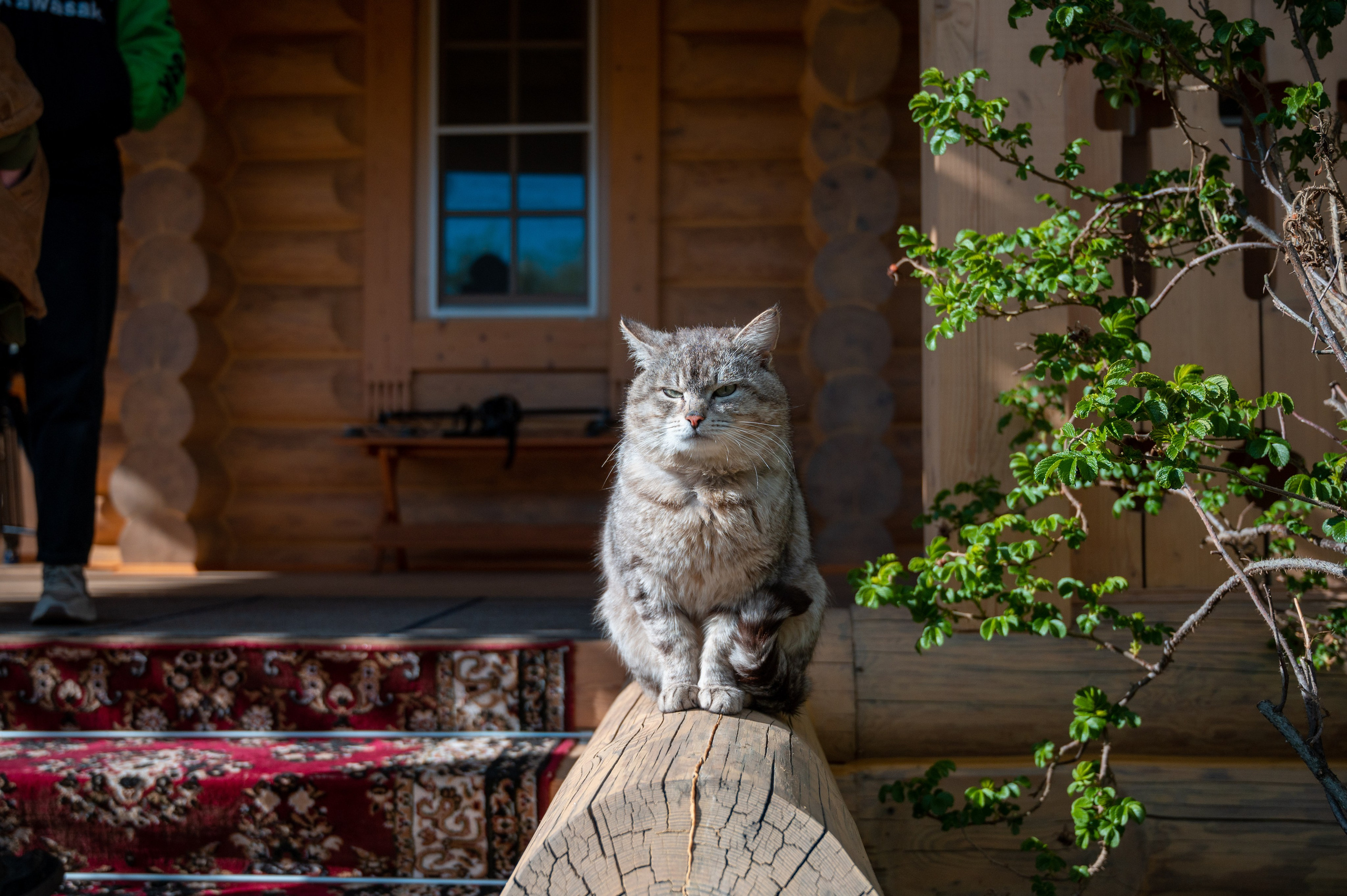 Речка. Фотограф Мария