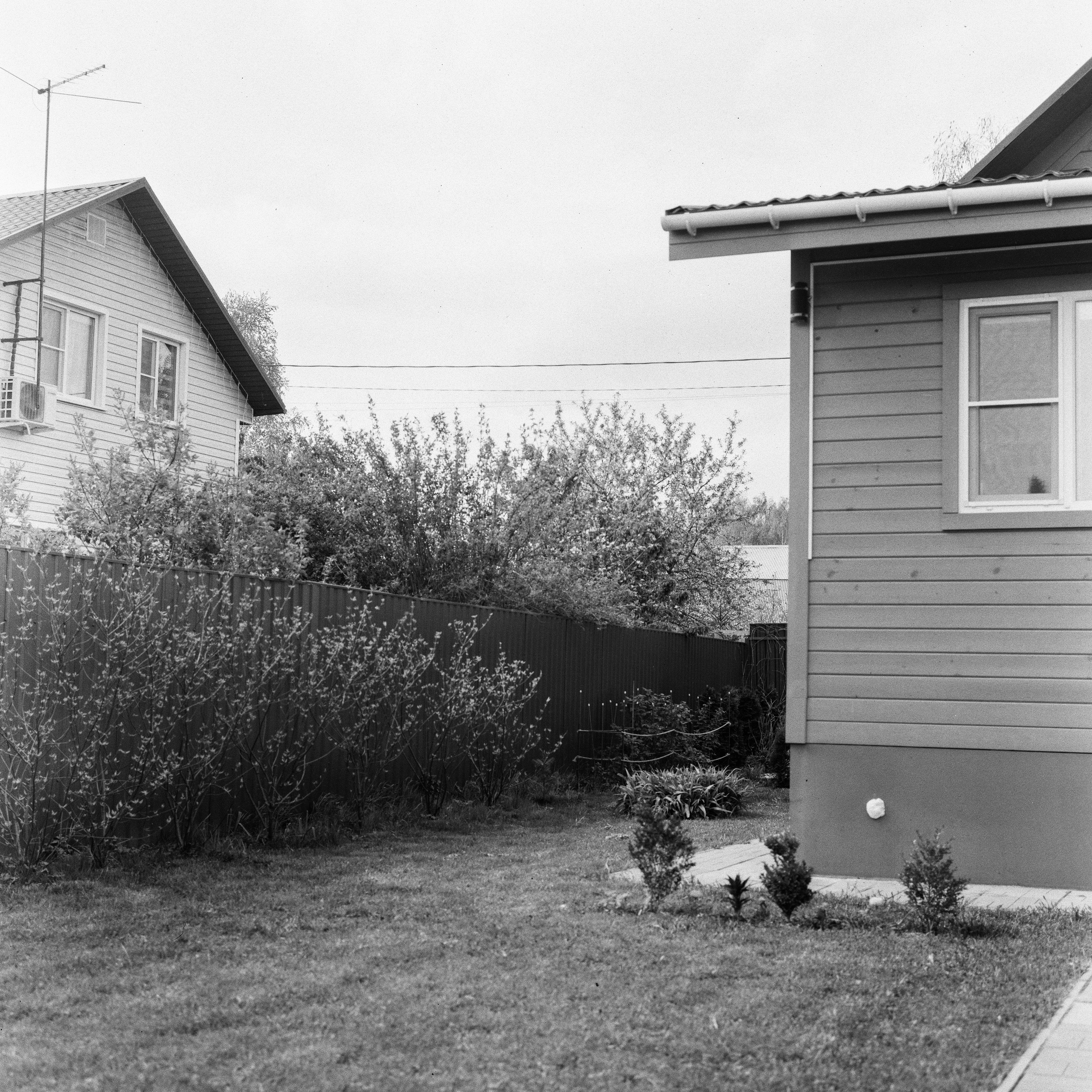 Zanza Bronica S2A — Nikkor-P 75 mm f2.8 | Shanghai P3 100 | Давыдовское 17 мая 2025 года