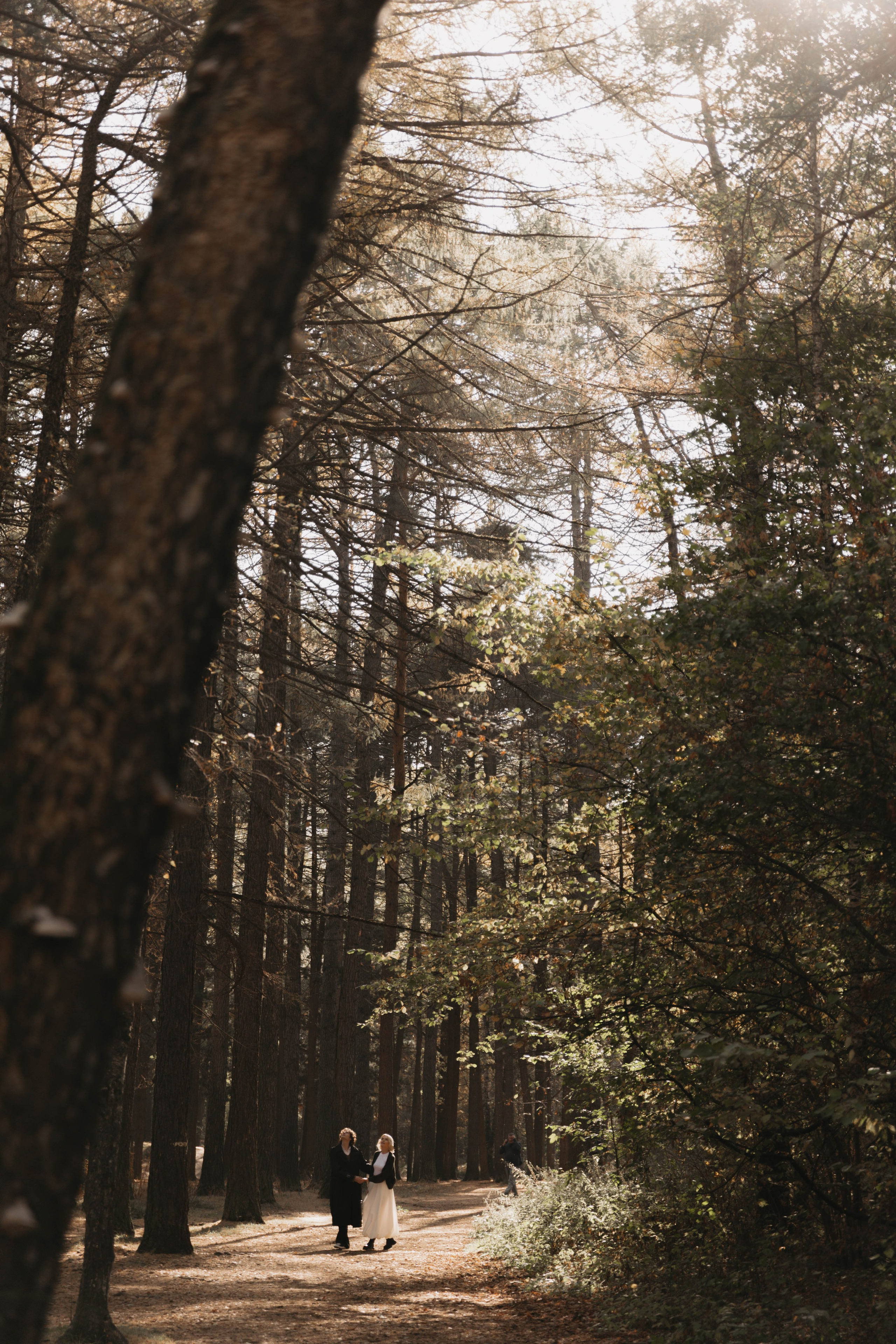 Ю & В. Женский и свадебный фотограф Москва Елизавета Перова