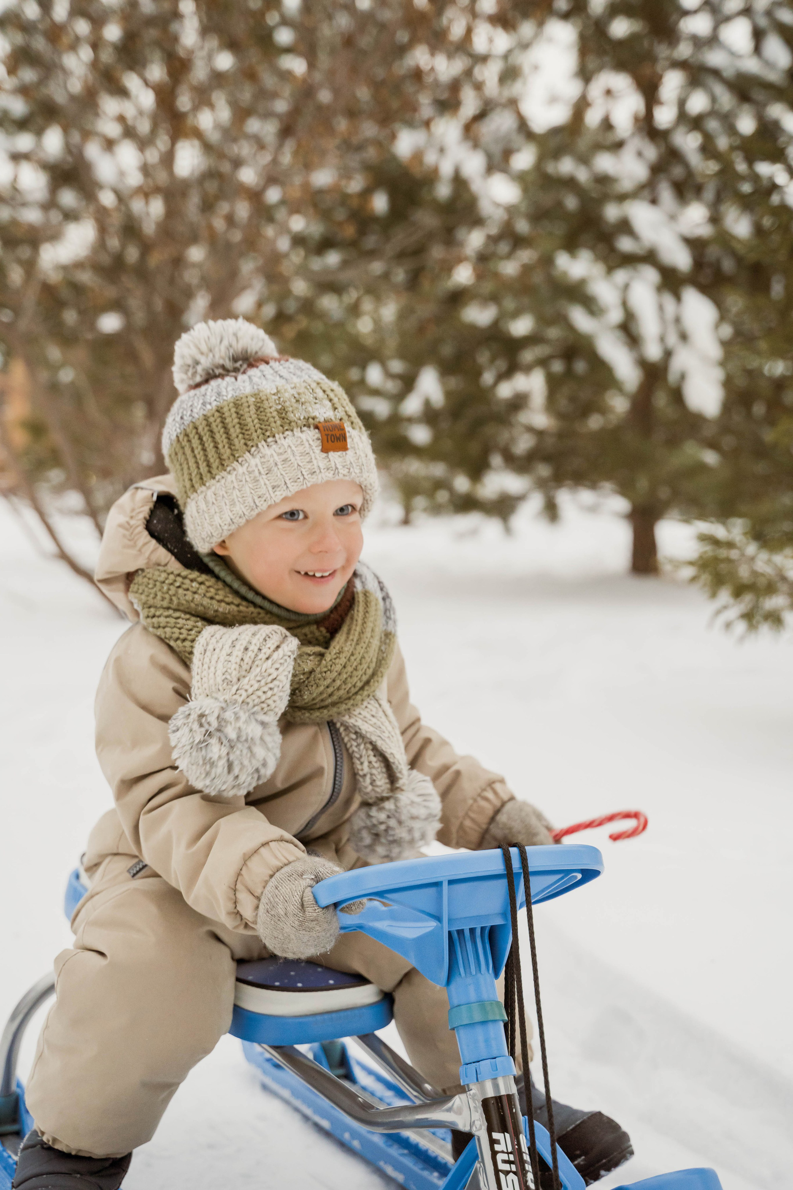 Зимняя прогулка. Главная
